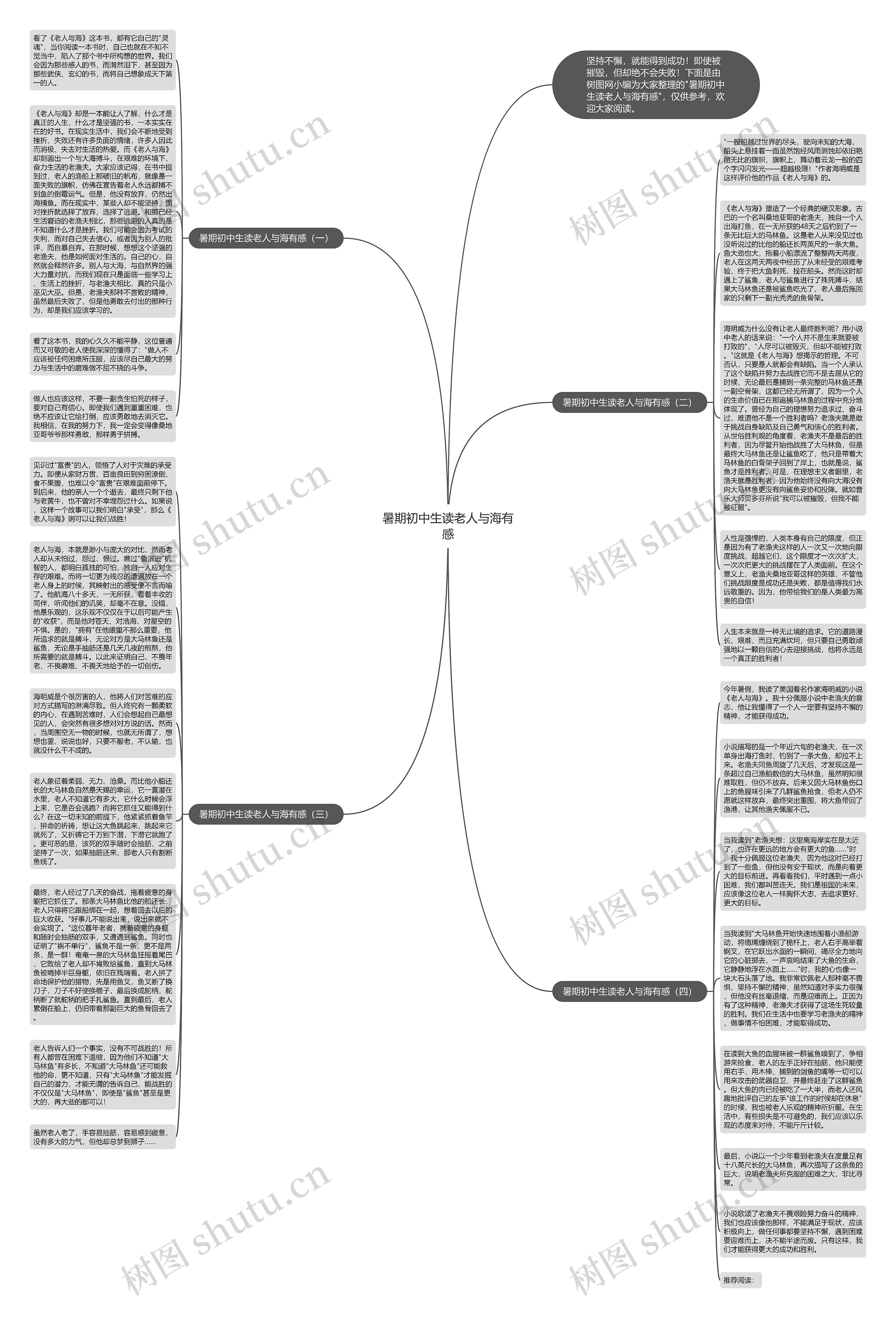 暑期初中生读老人与海有感思维导图