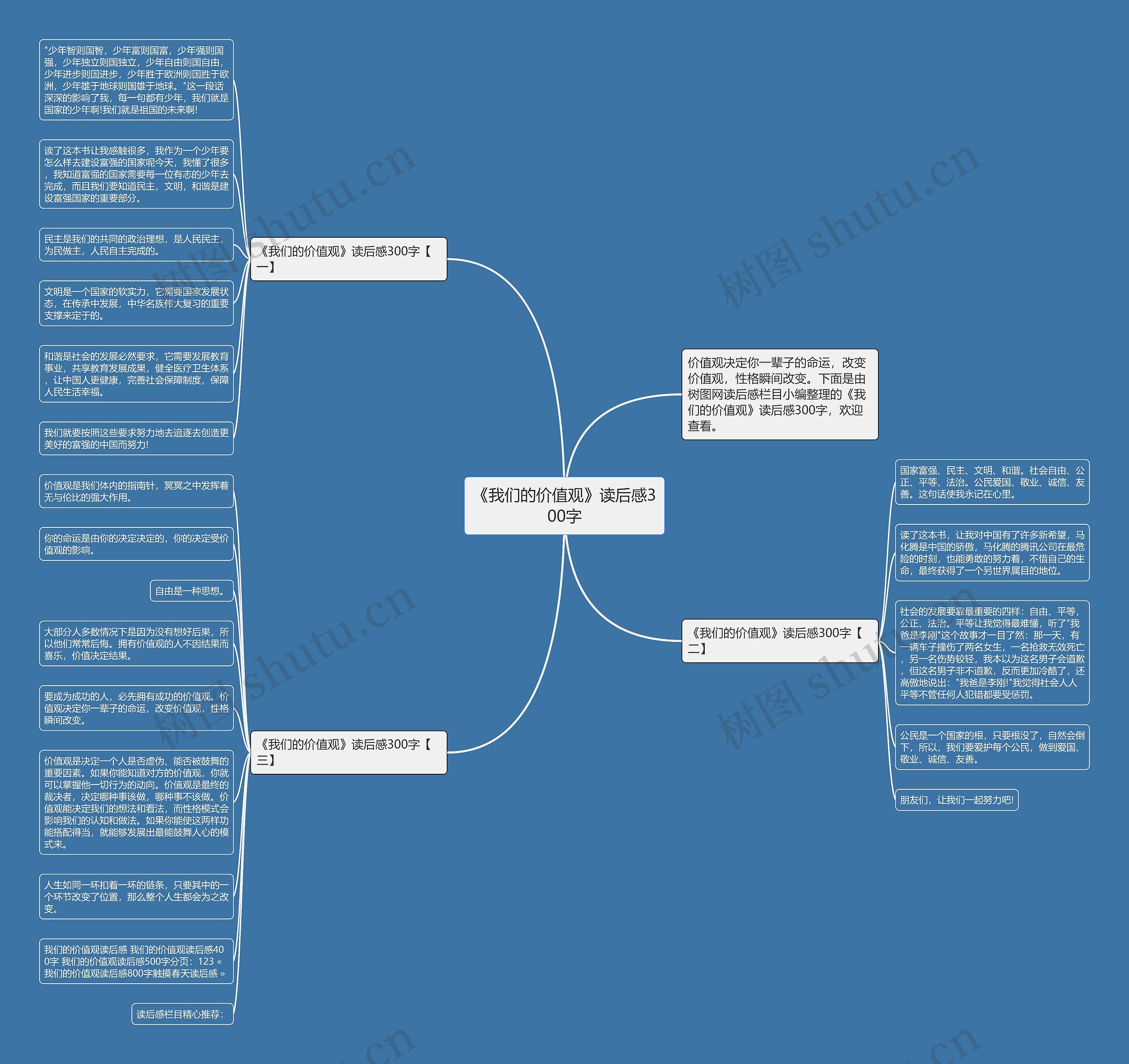 《我们的价值观》读后感300字思维导图