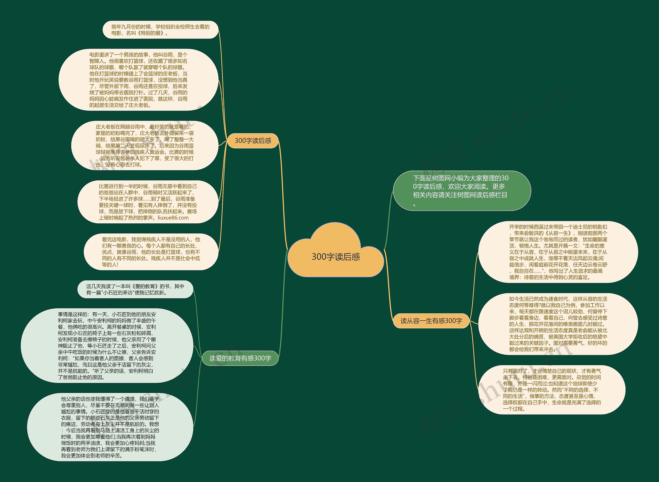 300字读后感思维导图