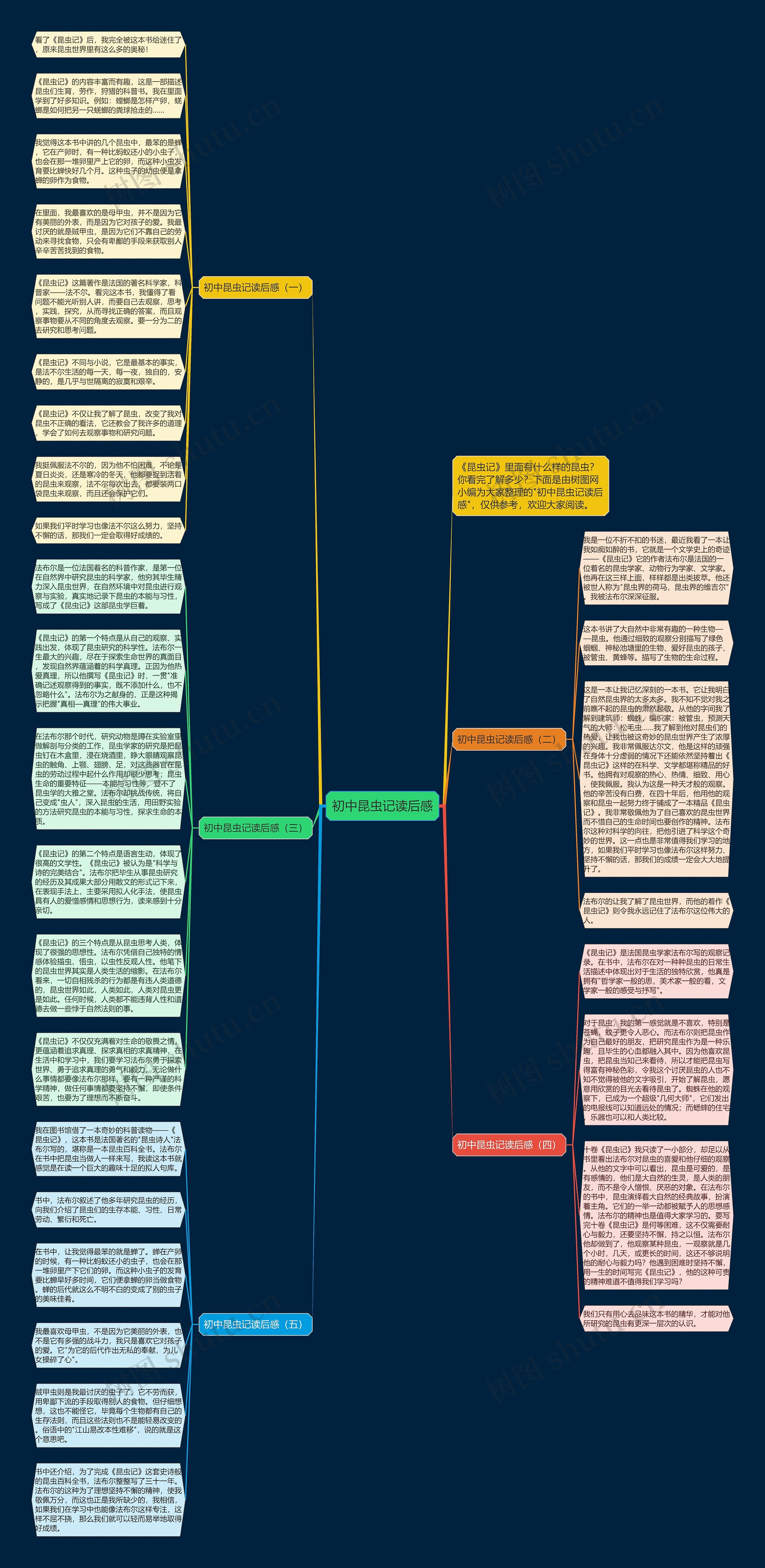 初中昆虫记读后感思维导图