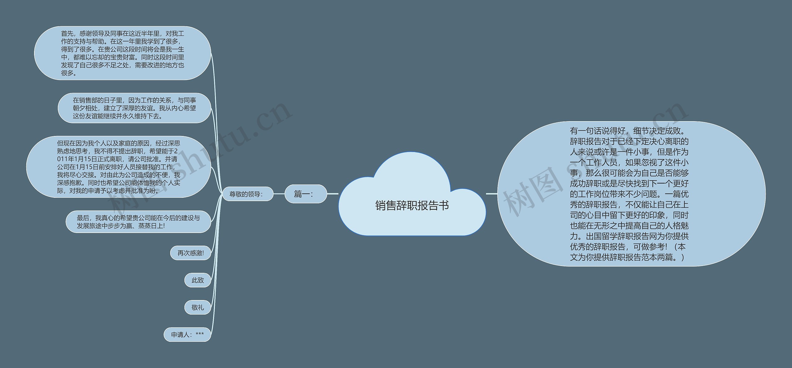 销售辞职报告书思维导图