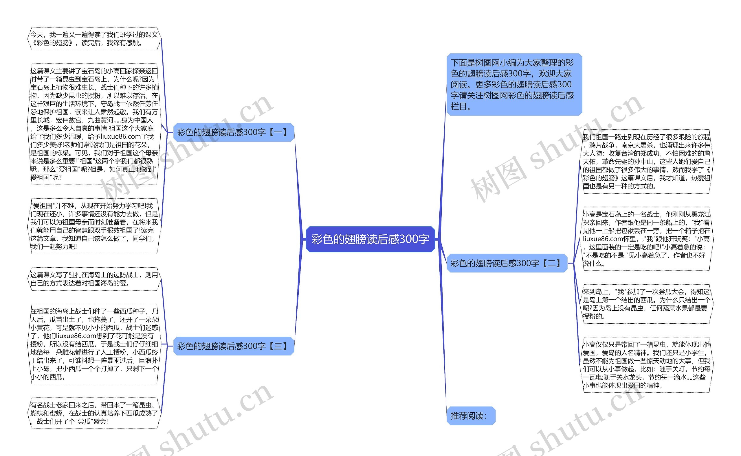 彩色的翅膀读后感300字思维导图
