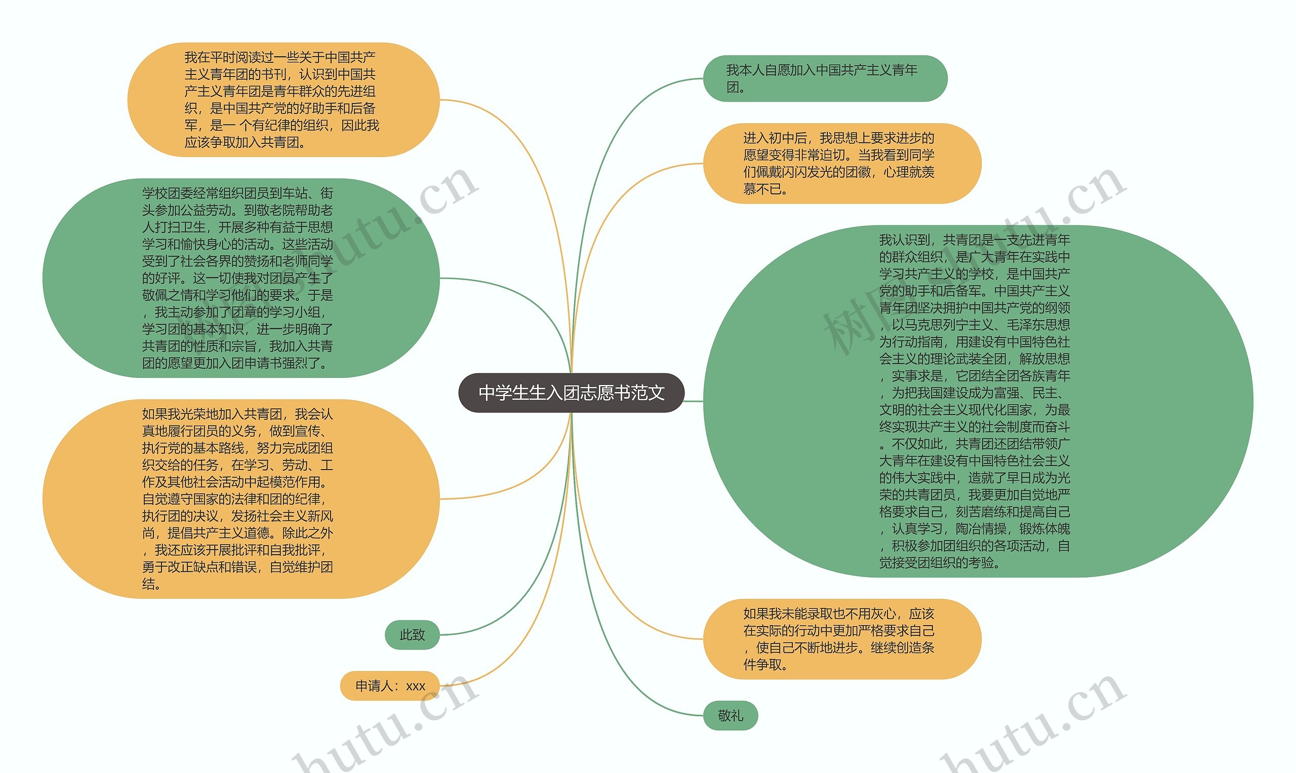 中学生生入团志愿书范文