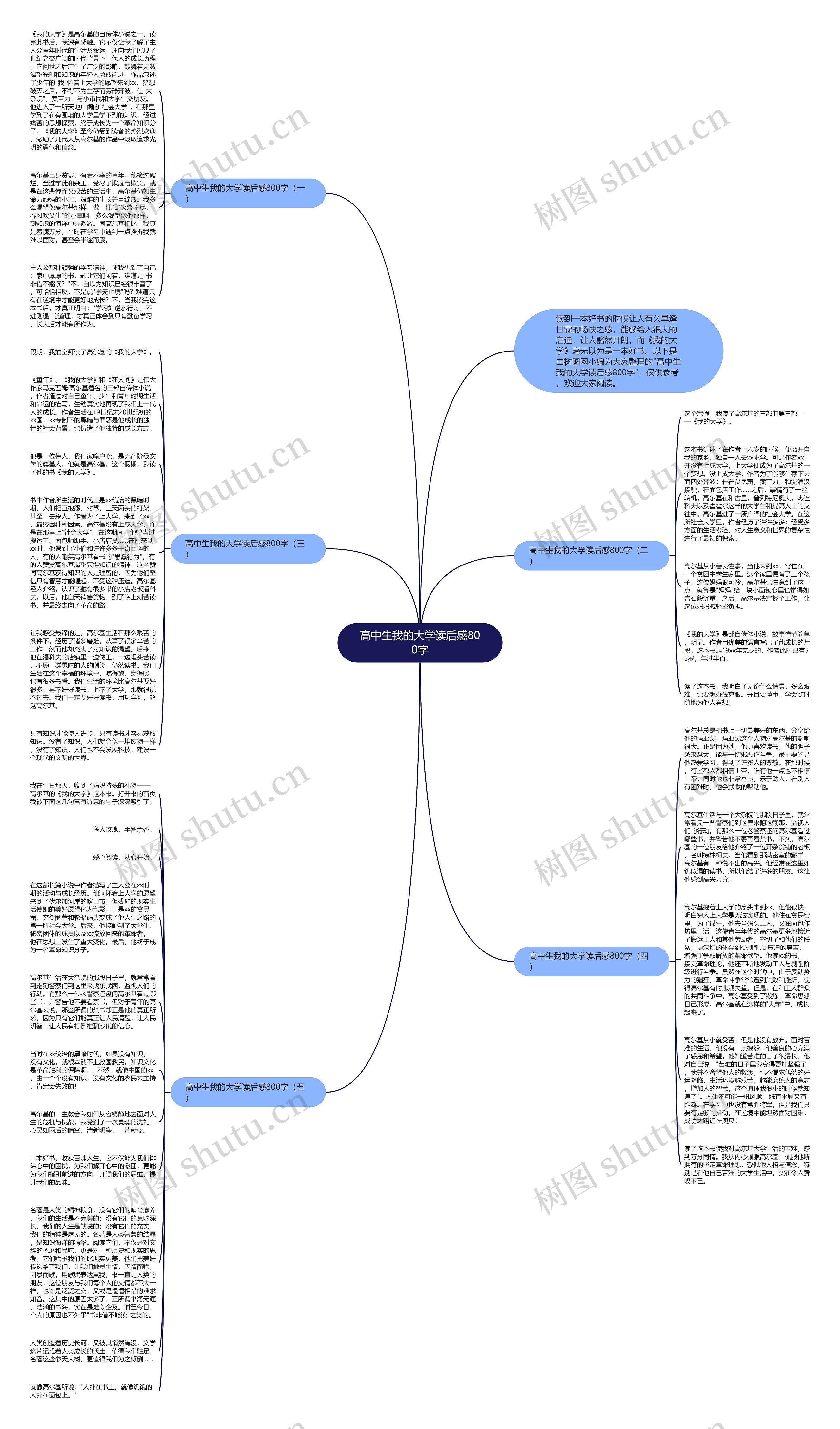 高中生我的大学读后感800字思维导图