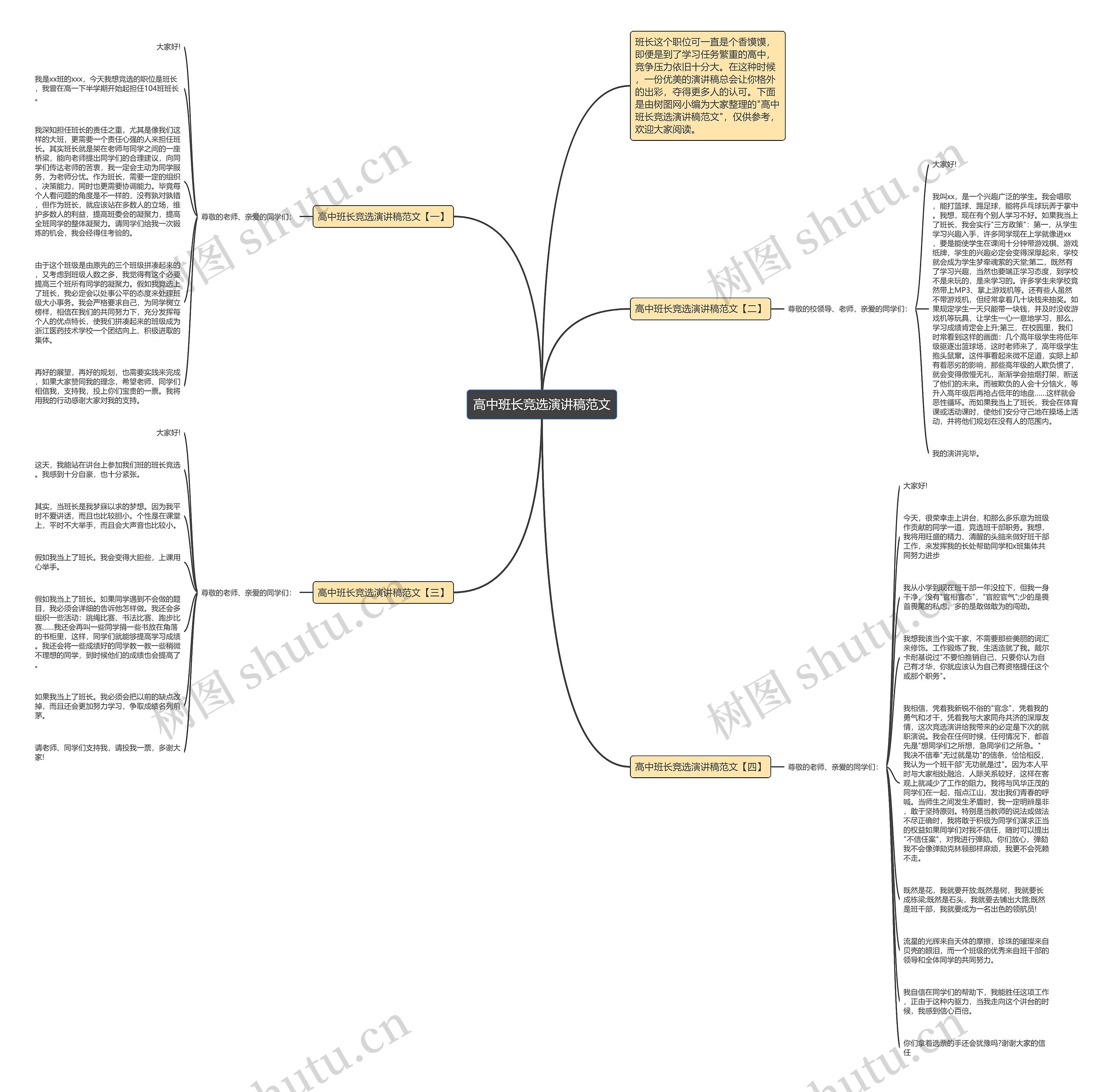 高中班长竞选演讲稿范文思维导图