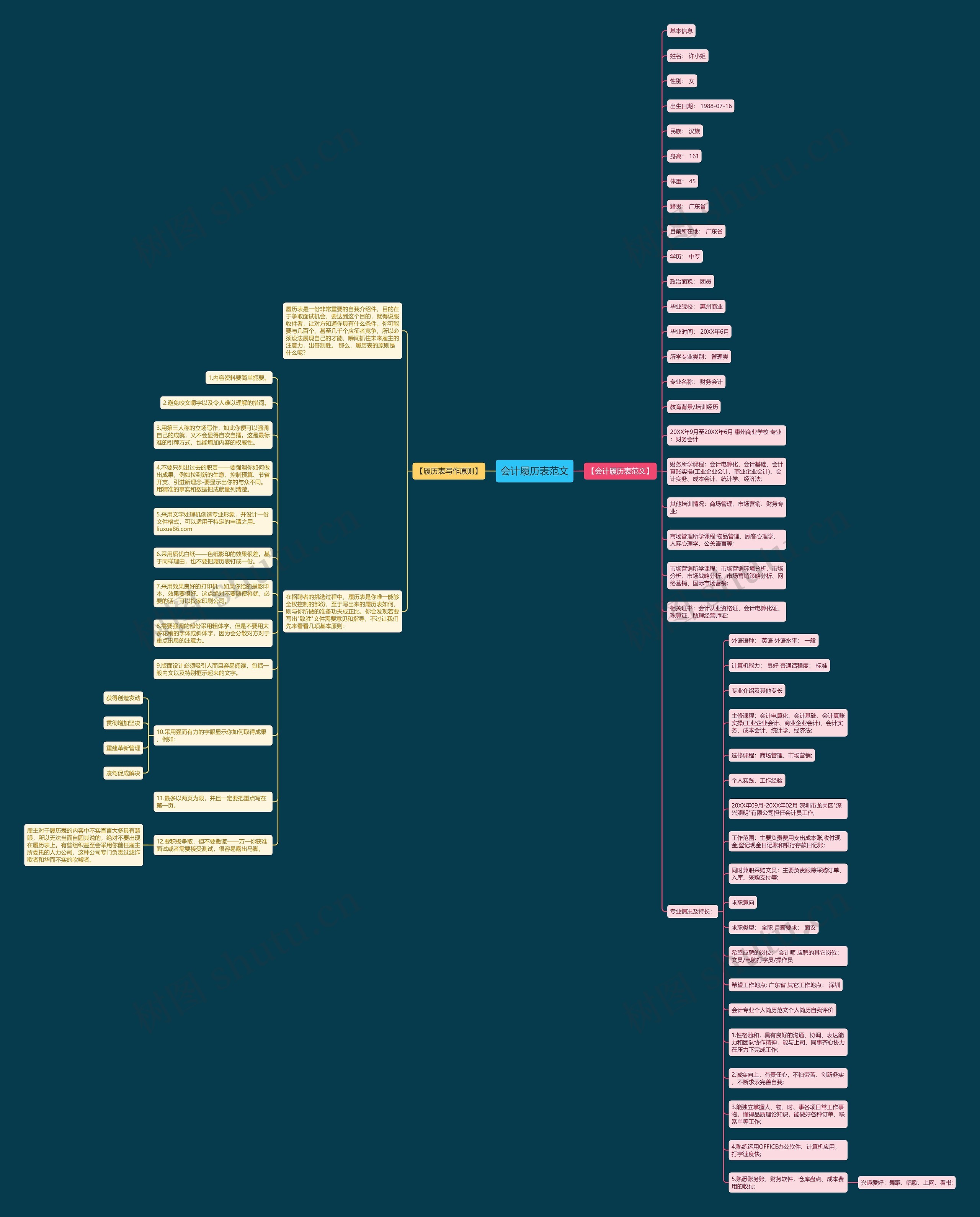 会计履历表范文思维导图