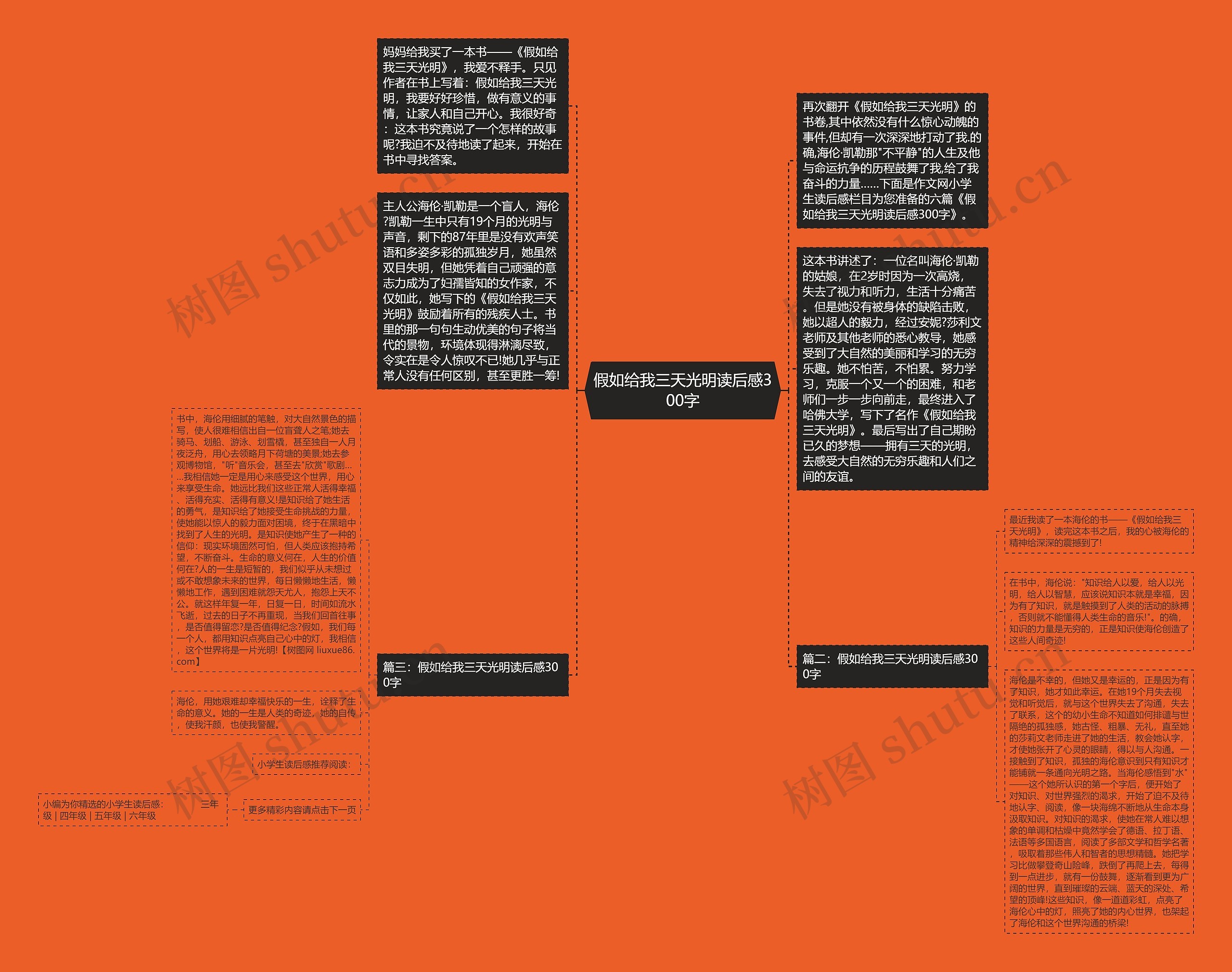 假如给我三天光明读后感300字思维导图