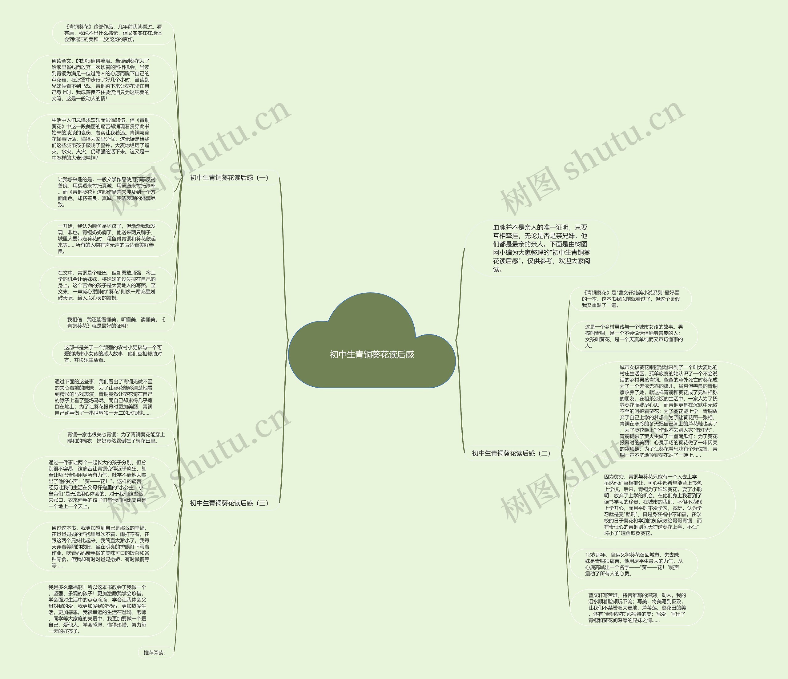 初中生青铜葵花读后感思维导图