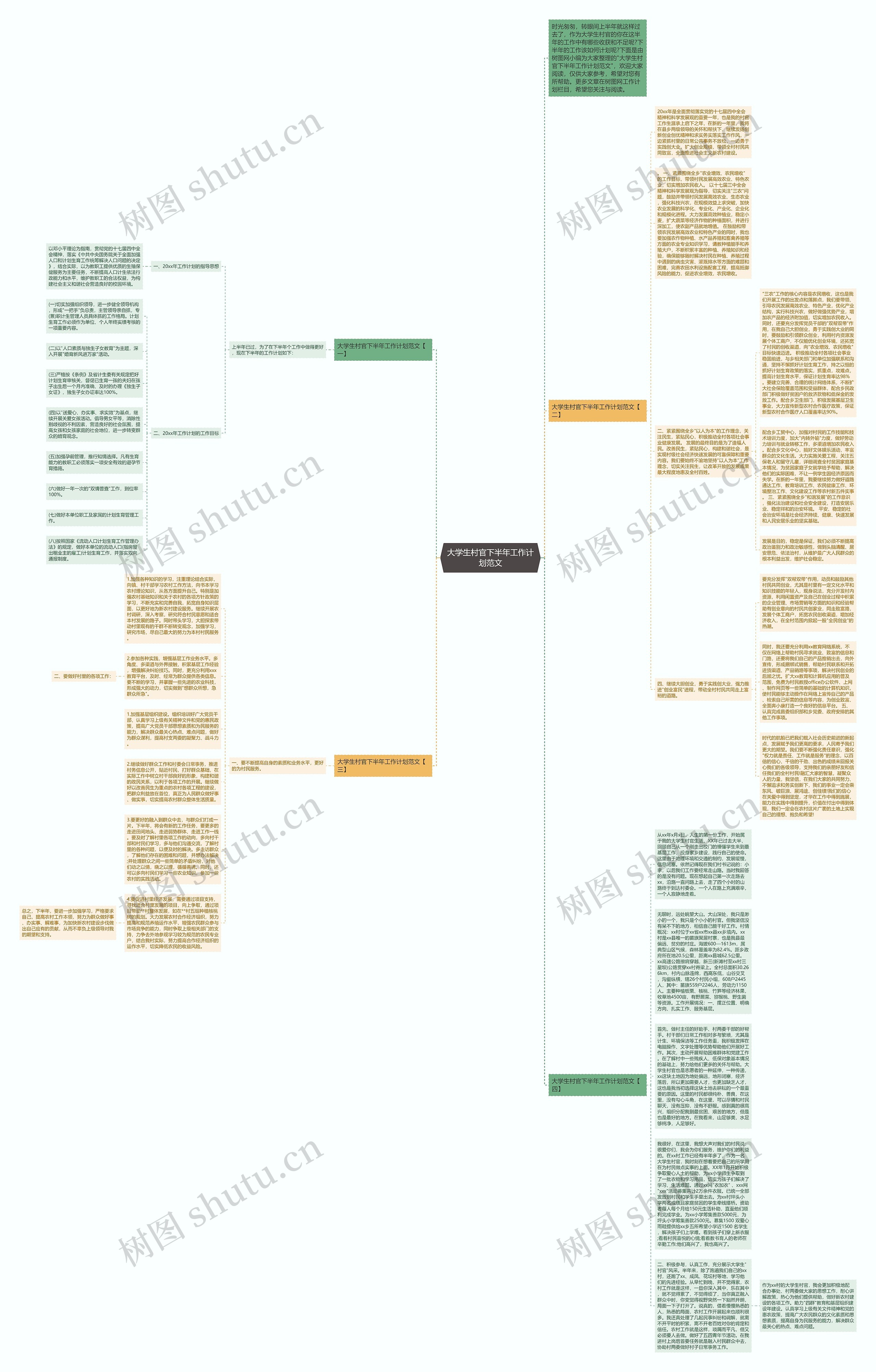 大学生村官下半年工作计划范文思维导图