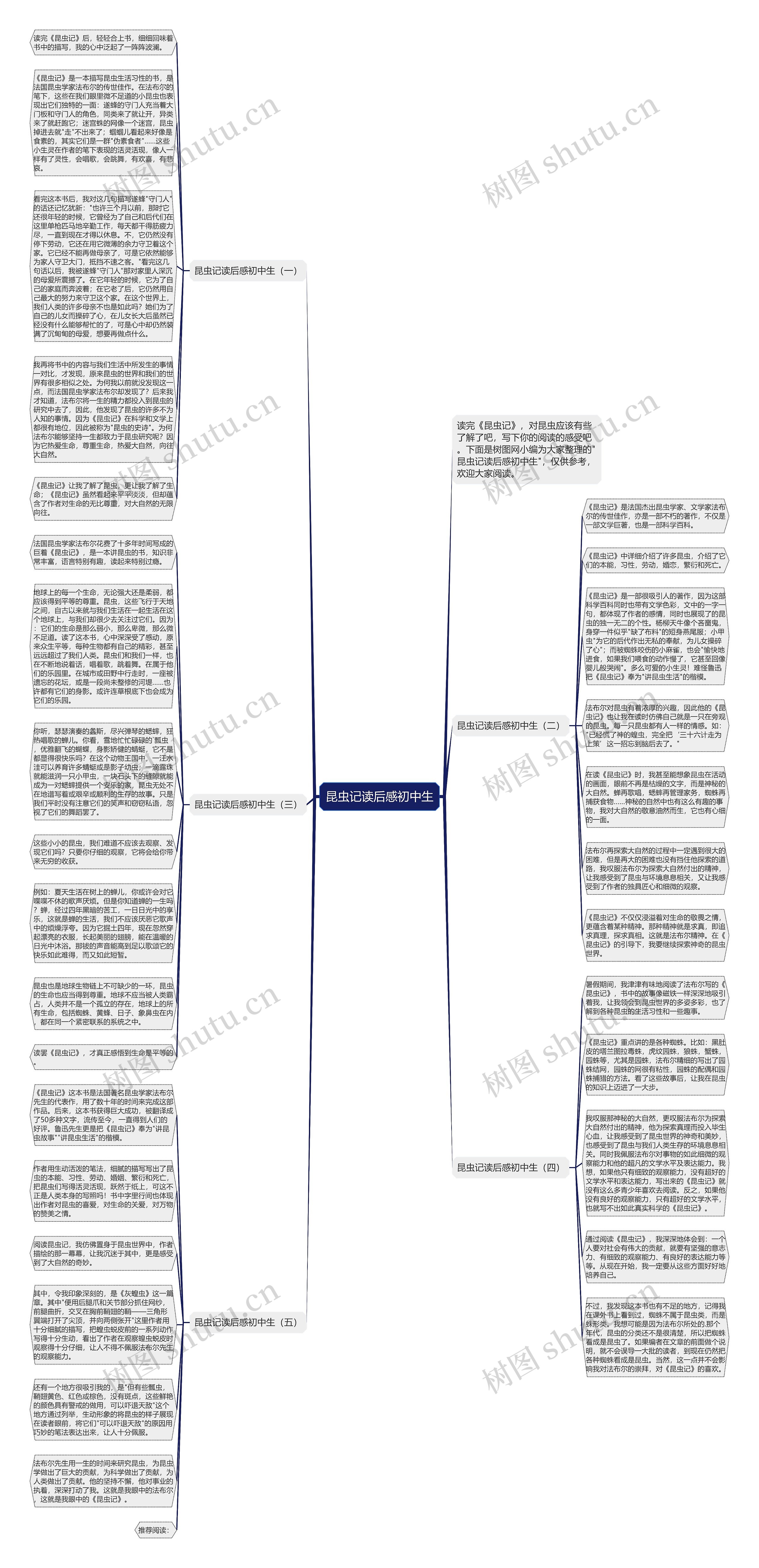 昆虫记读后感初中生思维导图