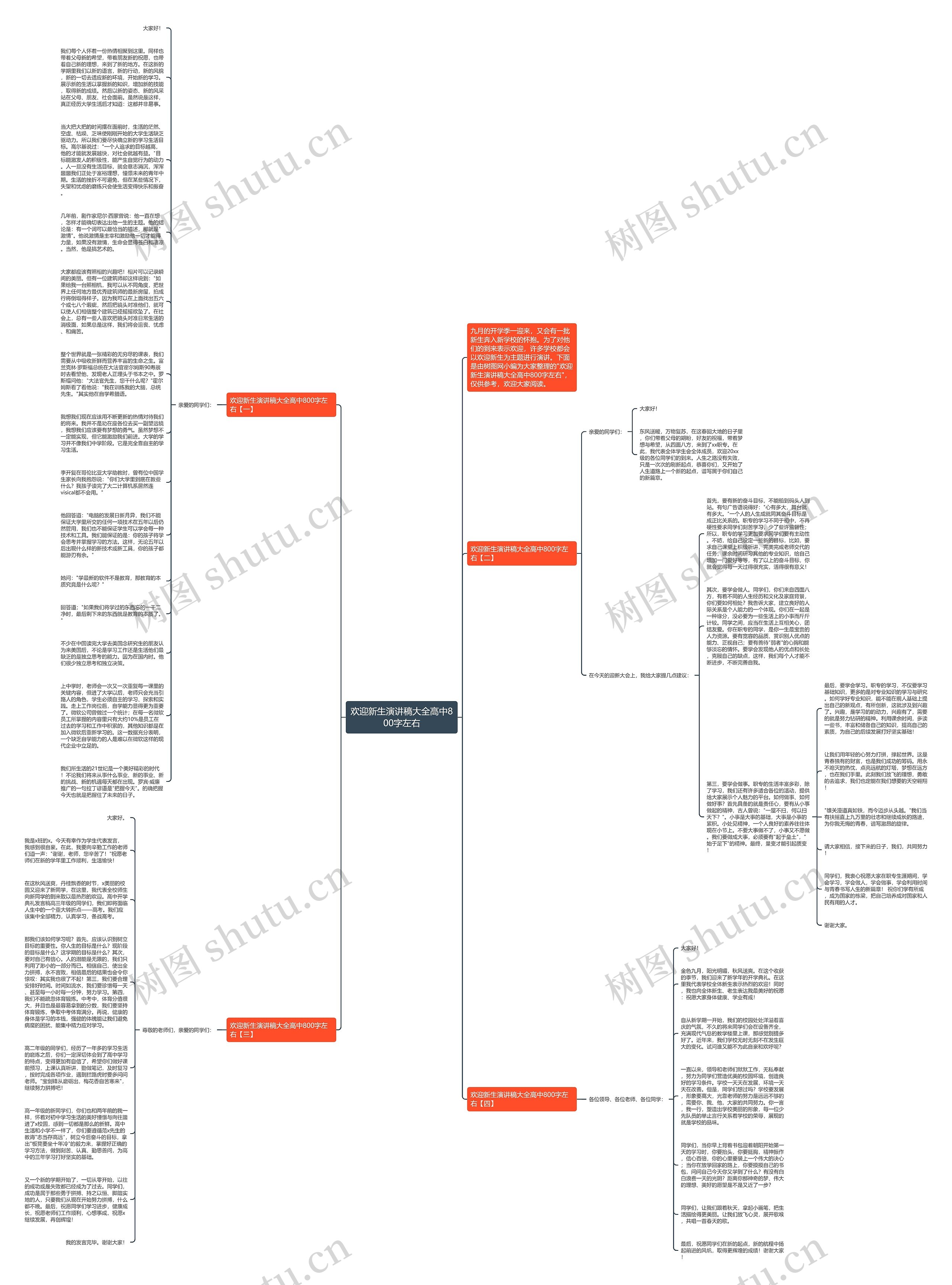 欢迎新生演讲稿大全高中800字左右思维导图
