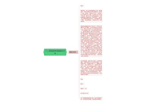 个人原因辞职信简单800字