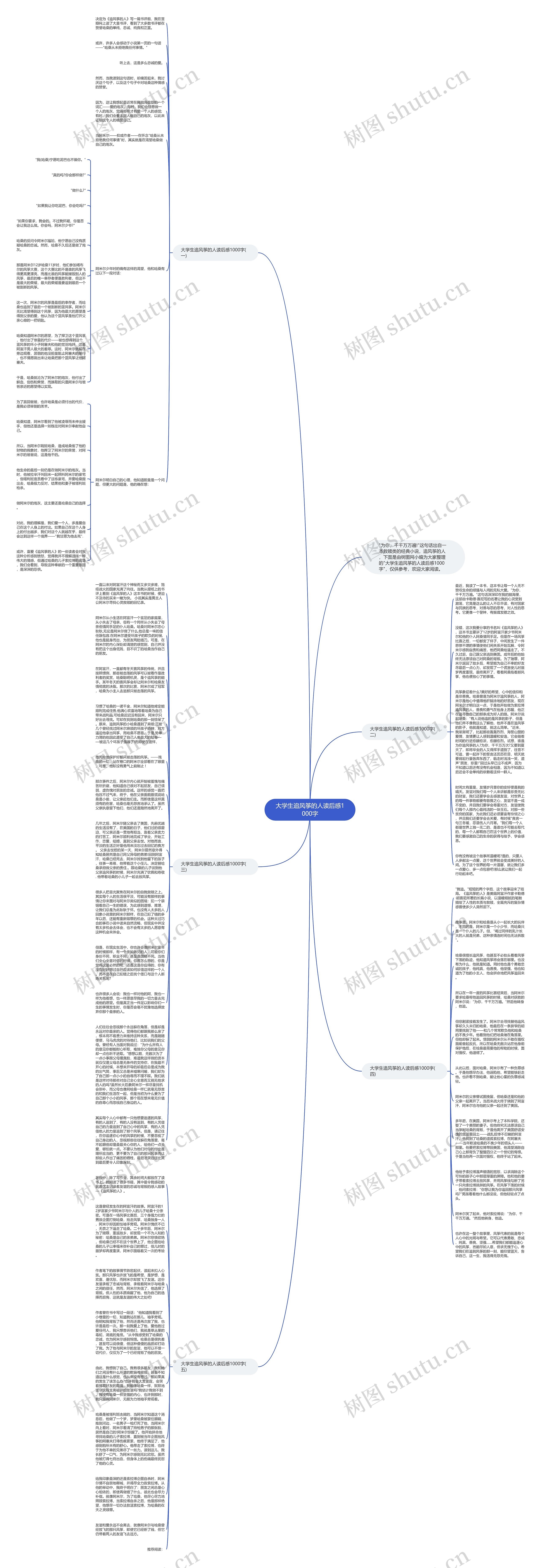 大学生追风筝的人读后感1000字思维导图