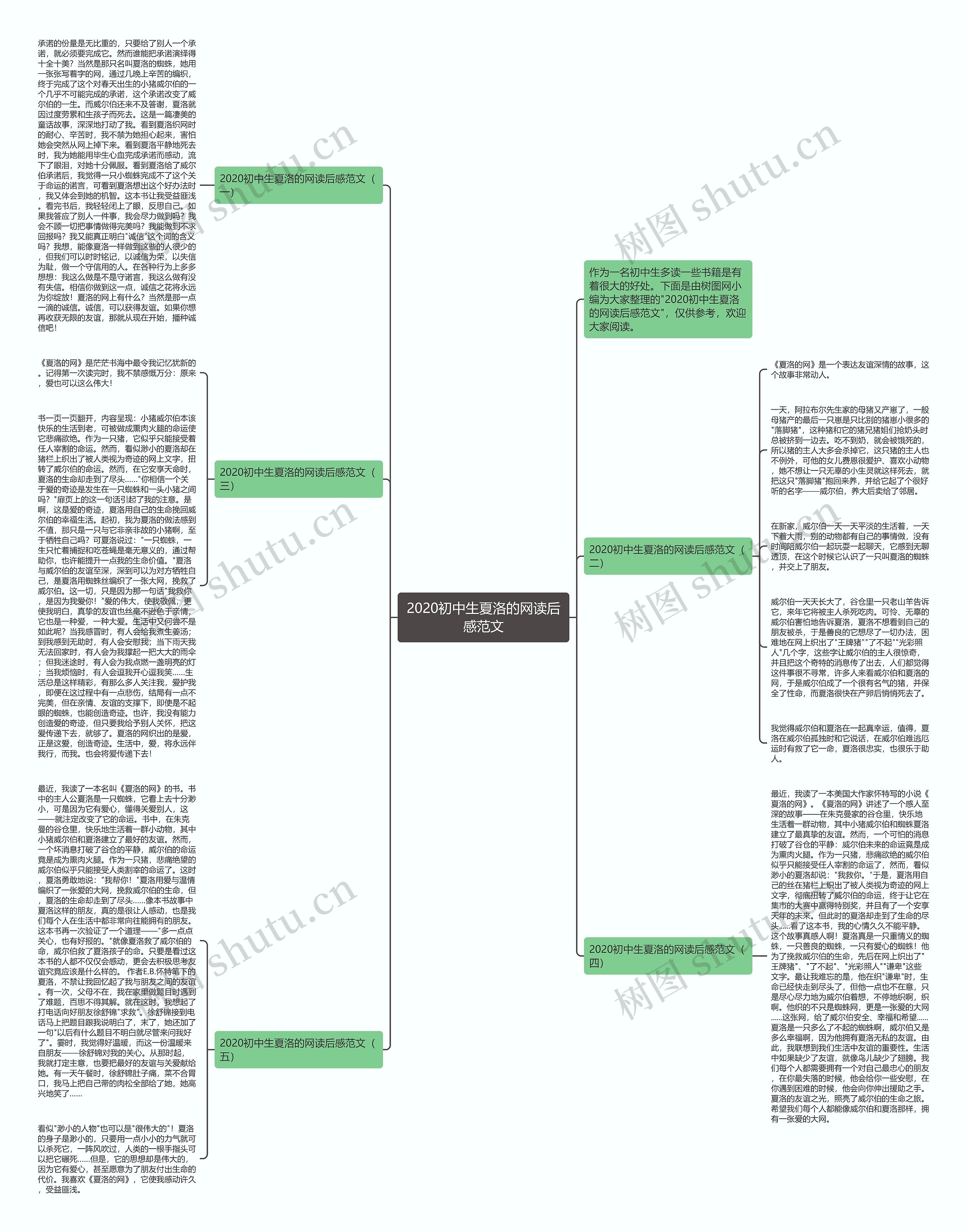 2020初中生夏洛的网读后感范文思维导图