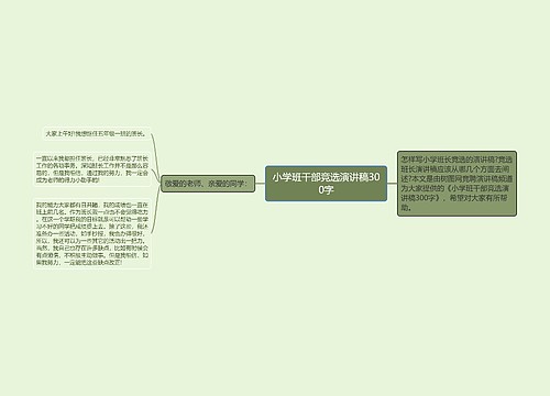 小学班干部竞选演讲稿300字