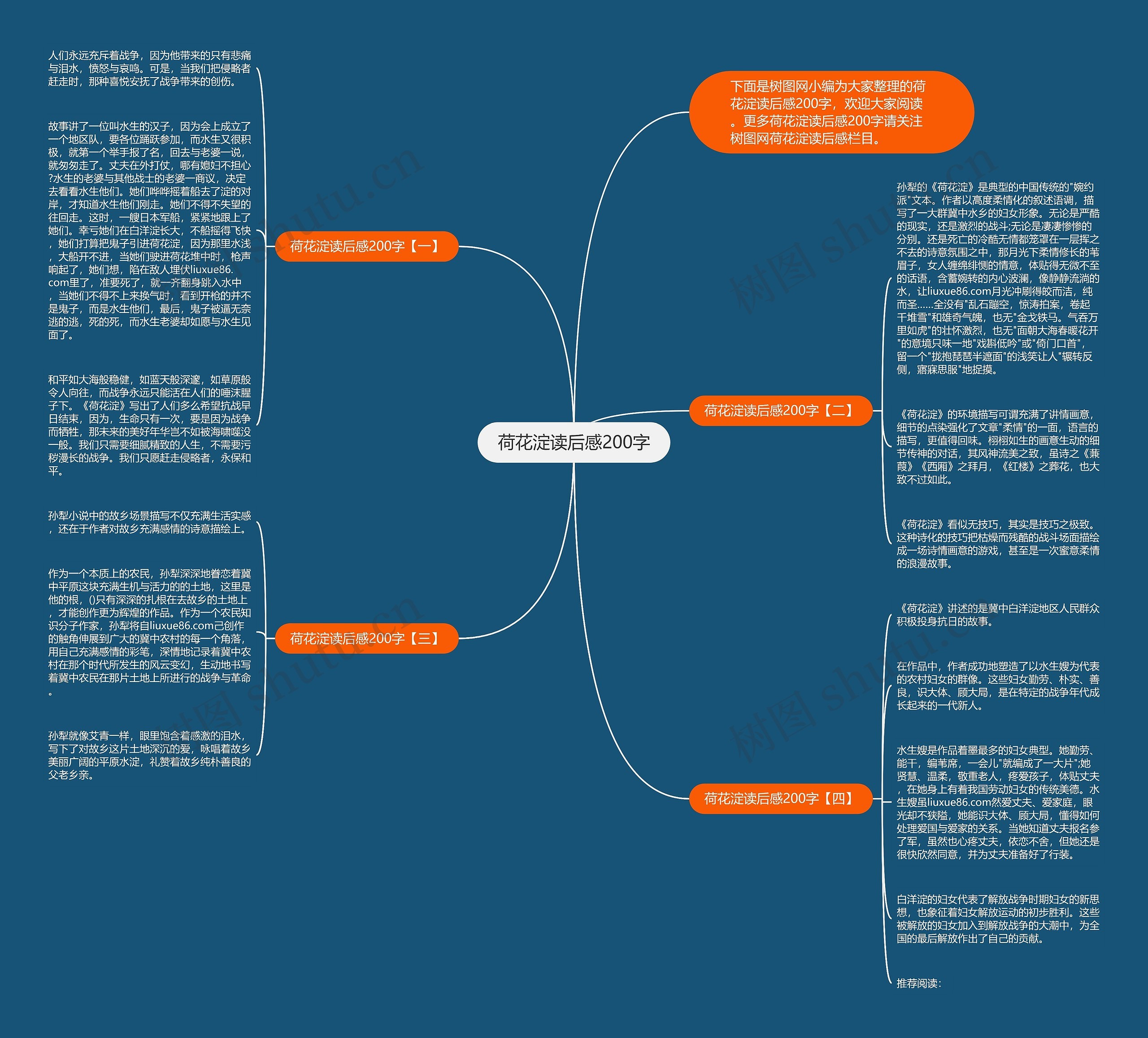 荷花淀读后感200字思维导图