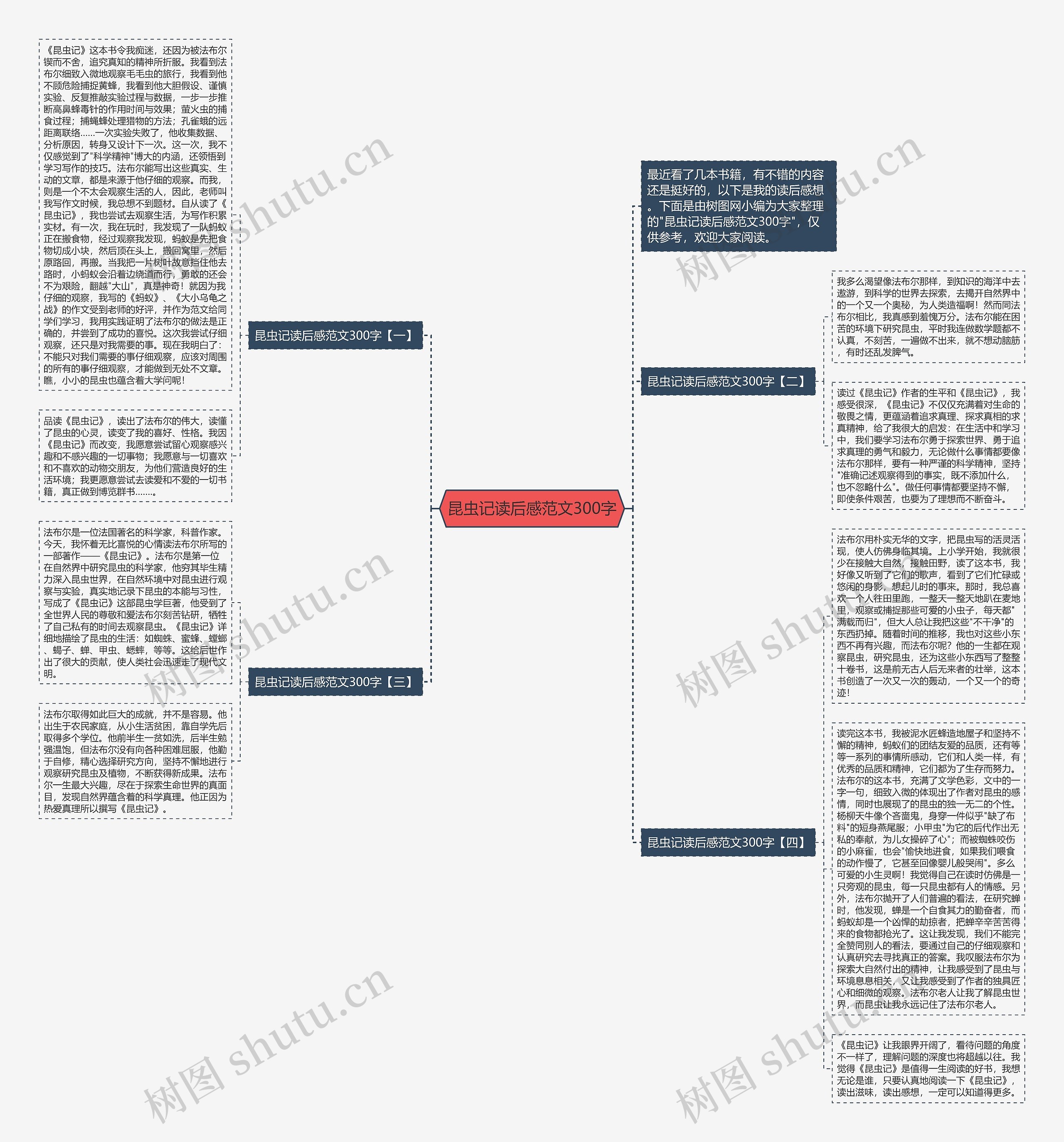 昆虫记读后感范文300字思维导图