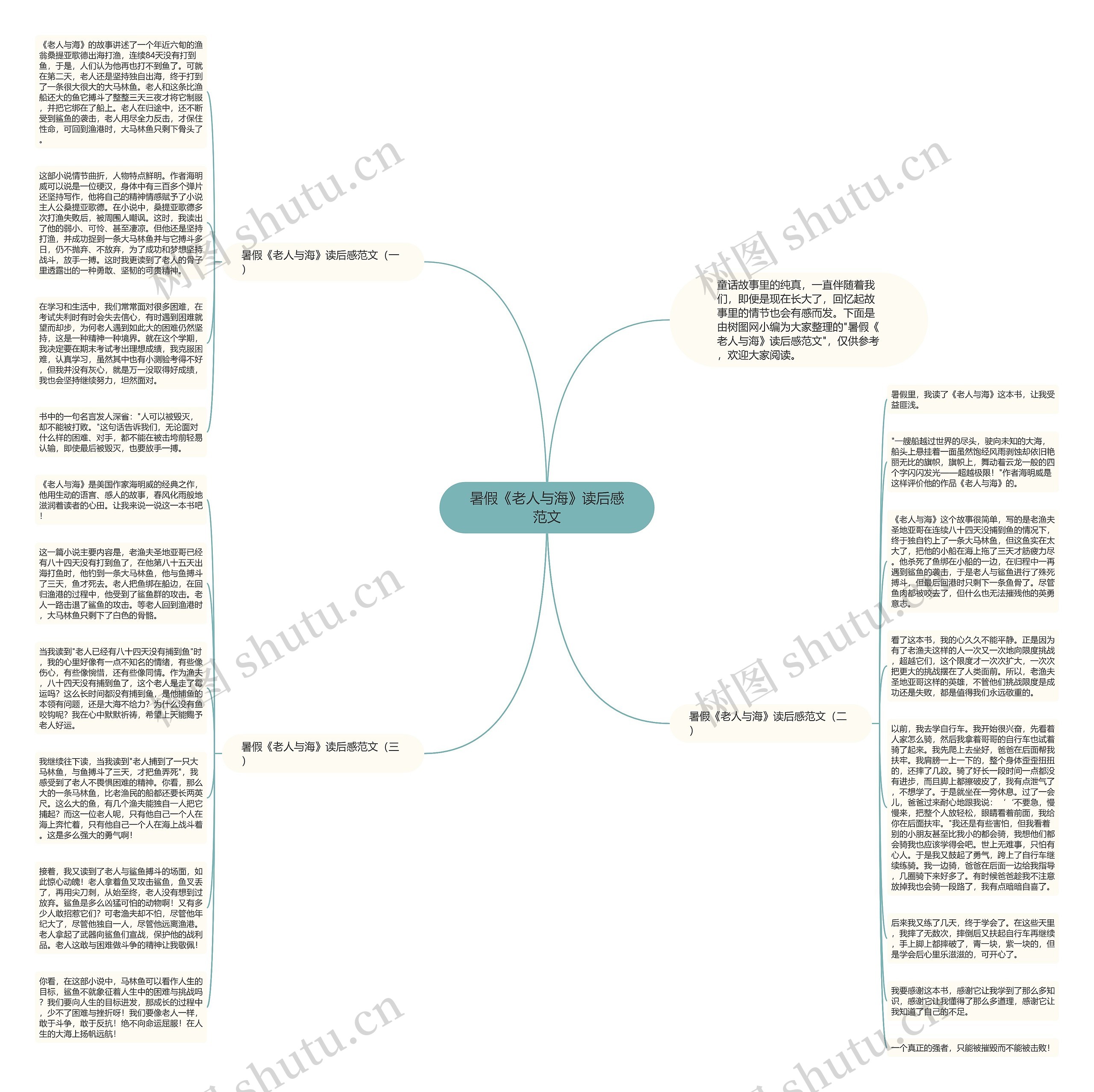 暑假《老人与海》读后感范文思维导图