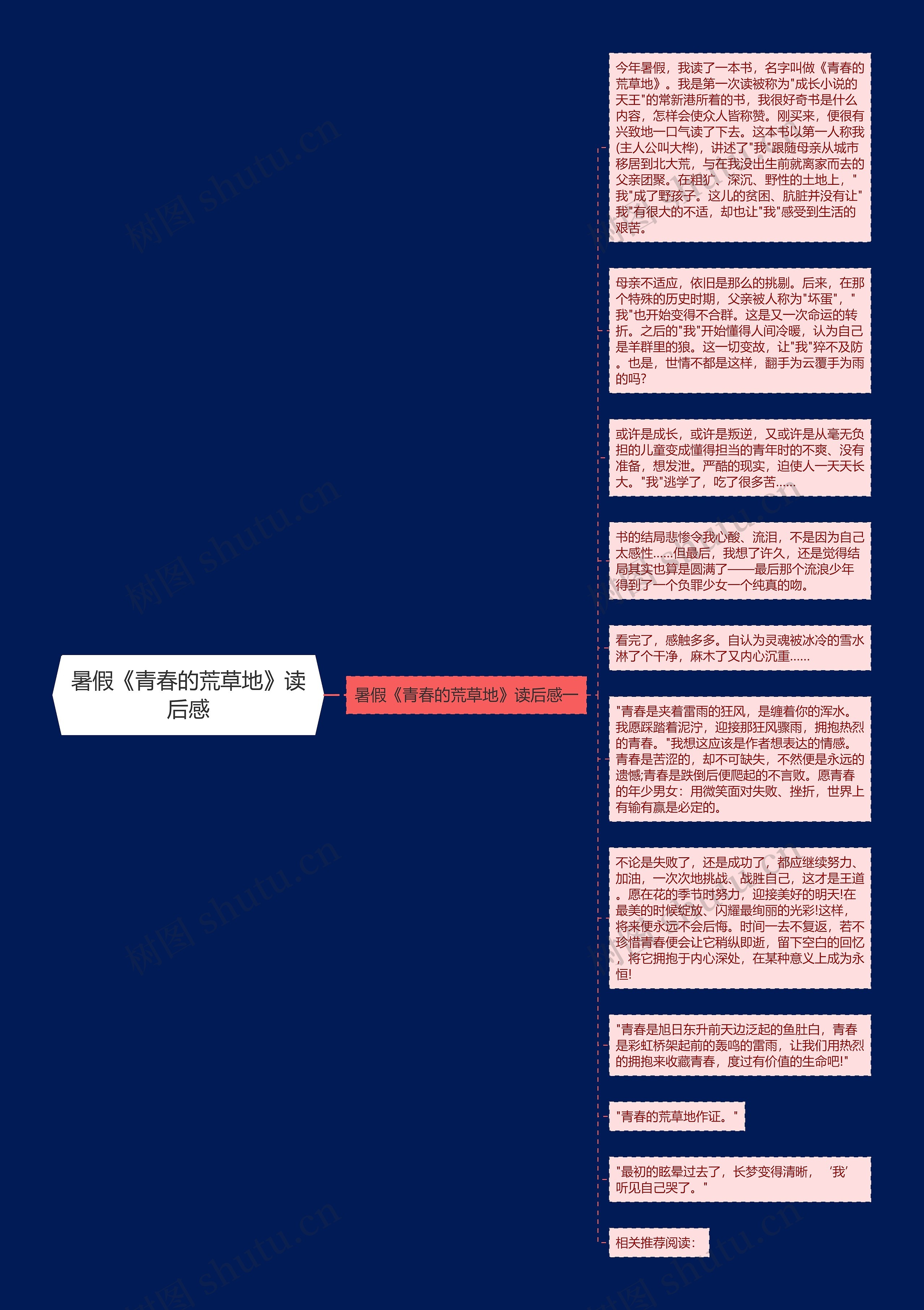 暑假《青春的荒草地》读后感思维导图