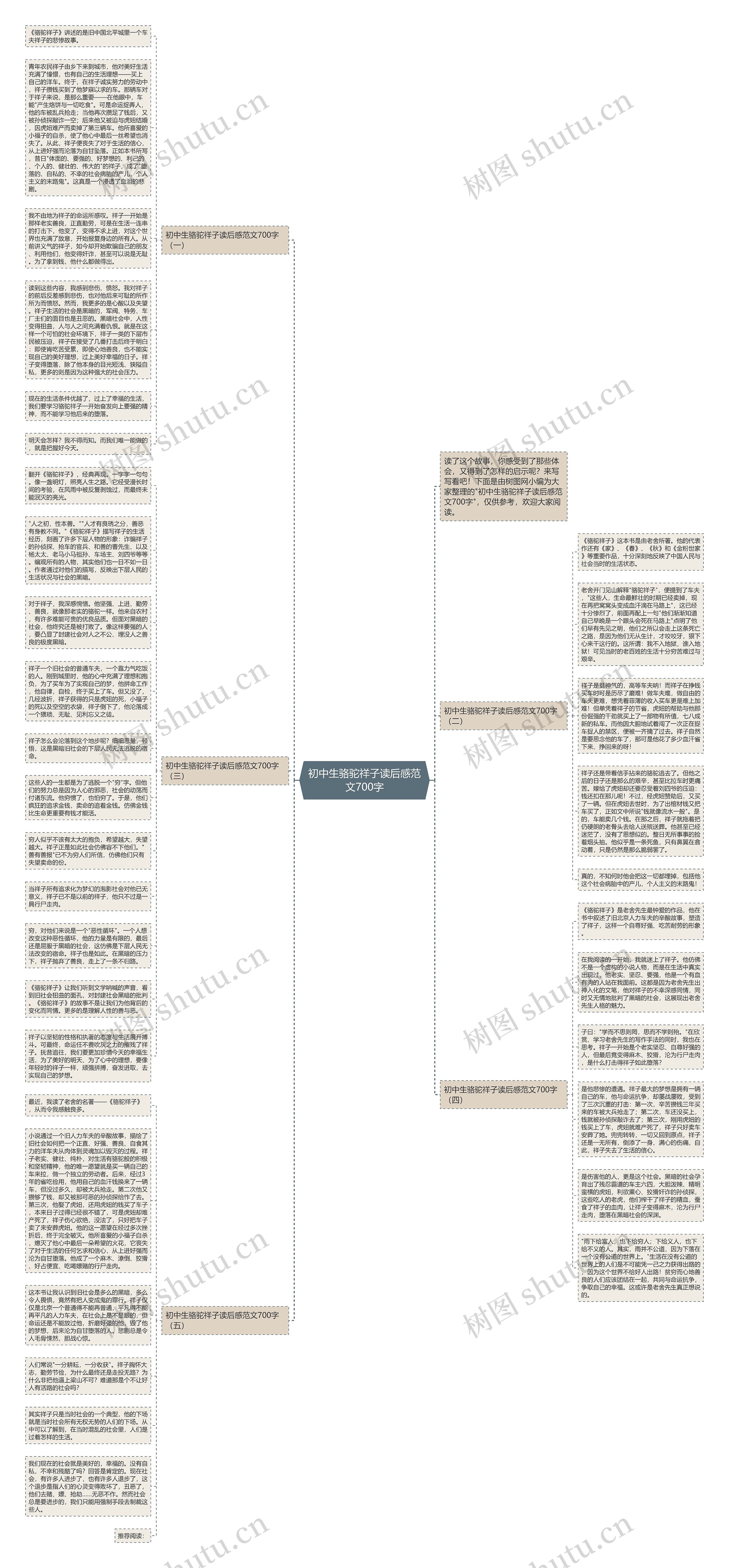 初中生骆驼祥子读后感范文700字思维导图
