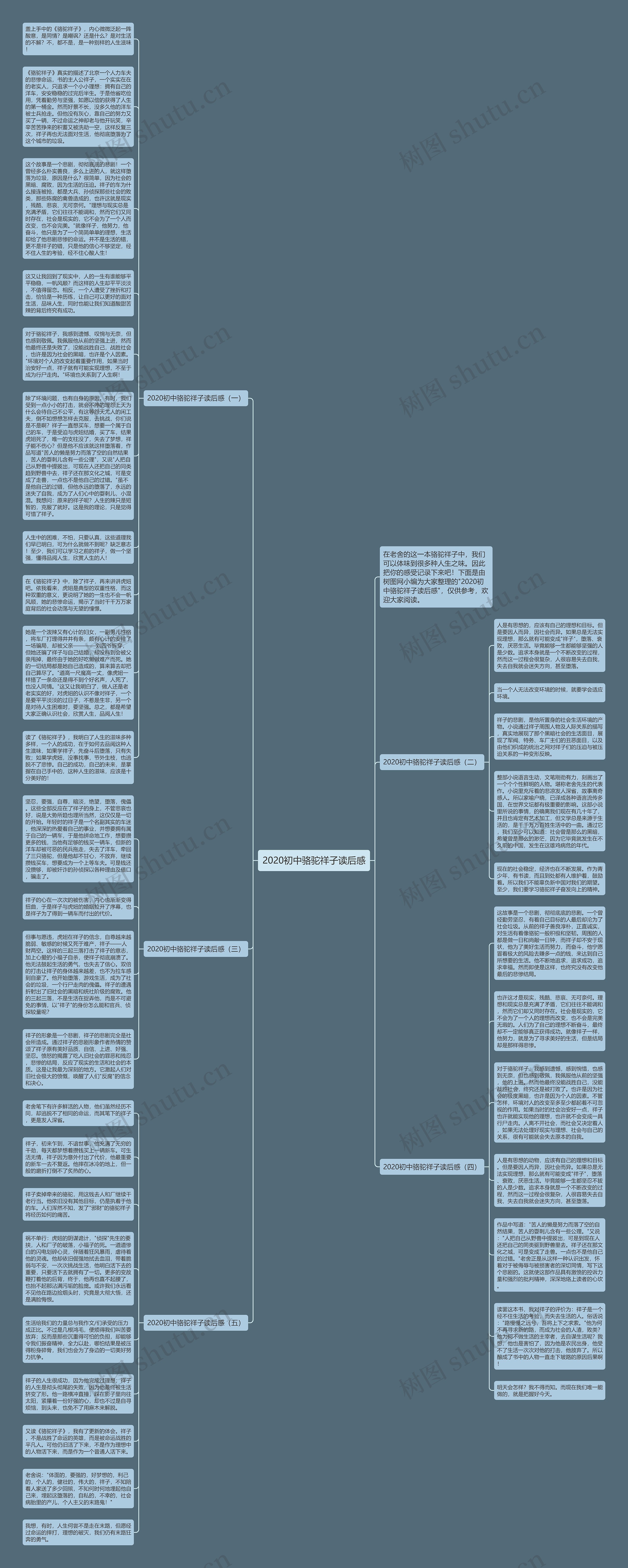 2020初中骆驼祥子读后感思维导图