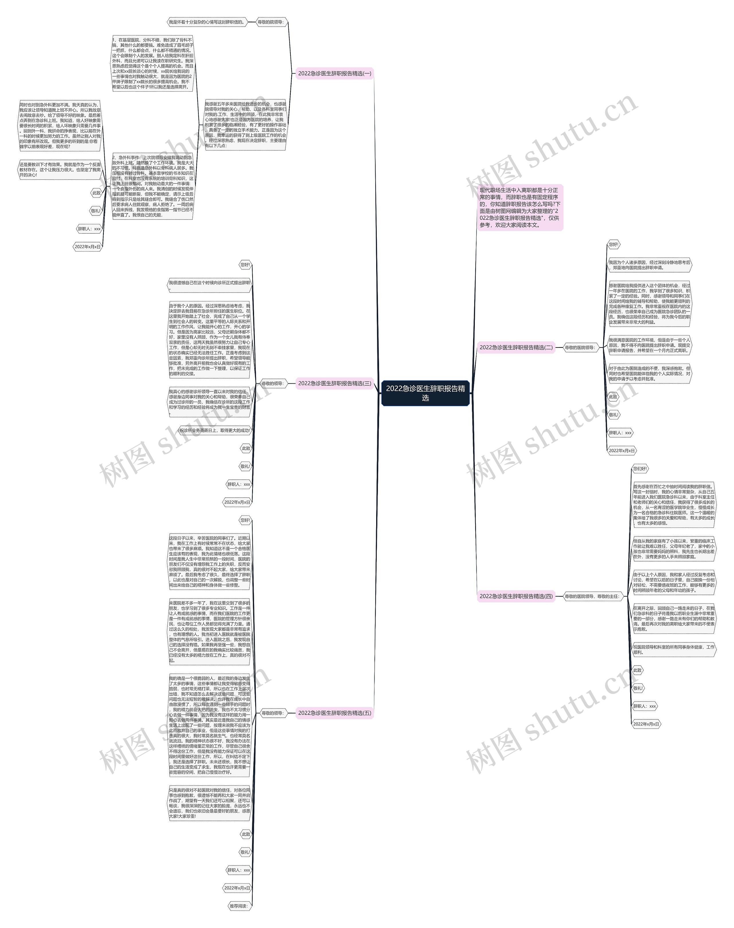 2022急诊医生辞职报告精选思维导图