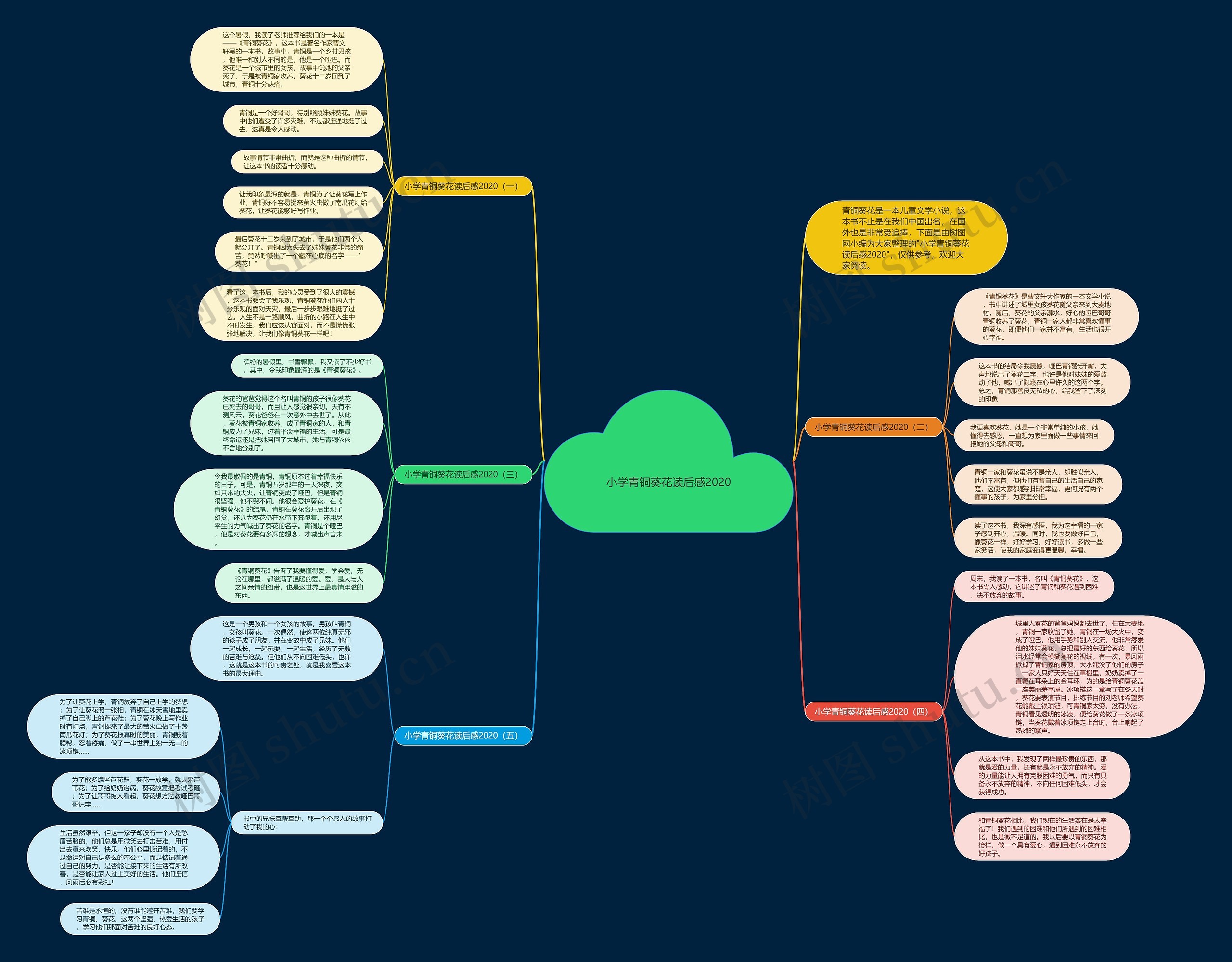 小学青铜葵花读后感2020思维导图