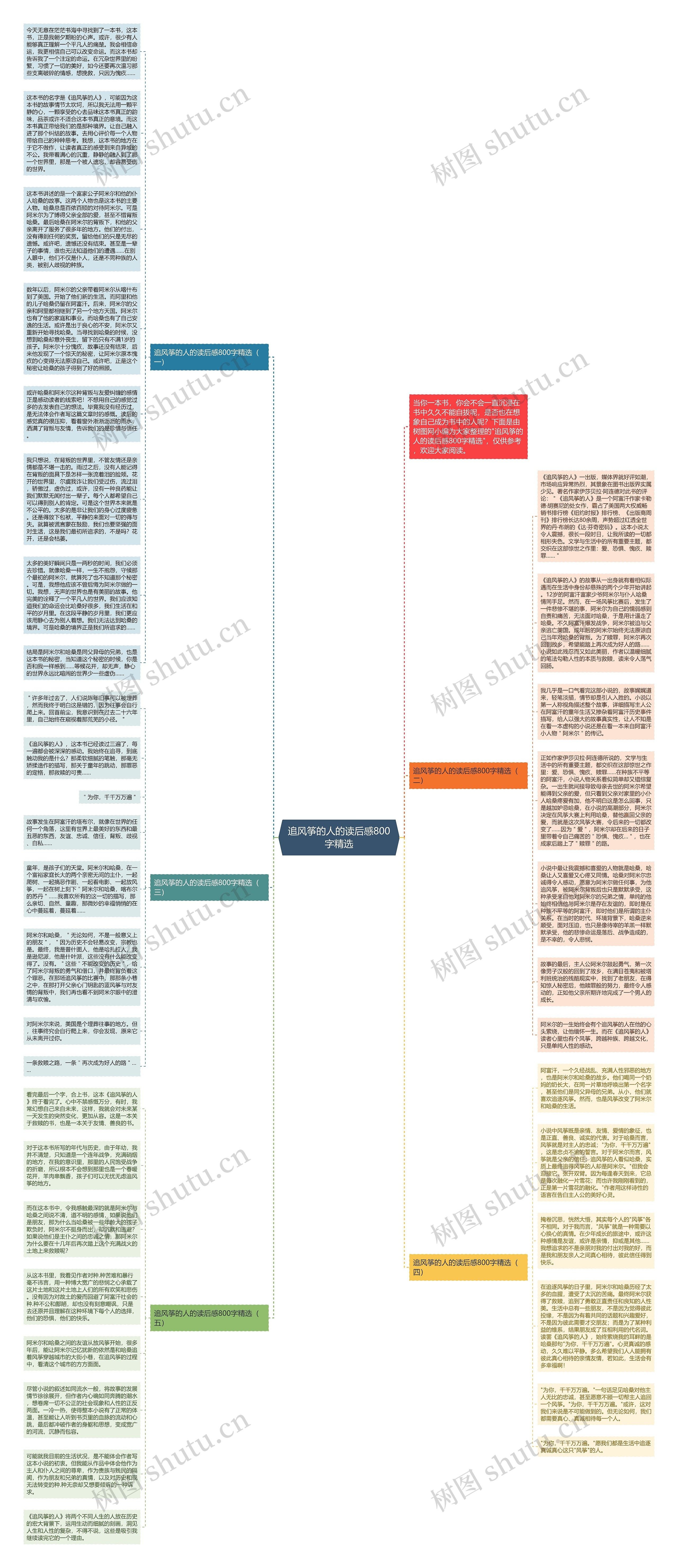 追风筝的人的读后感800字精选思维导图