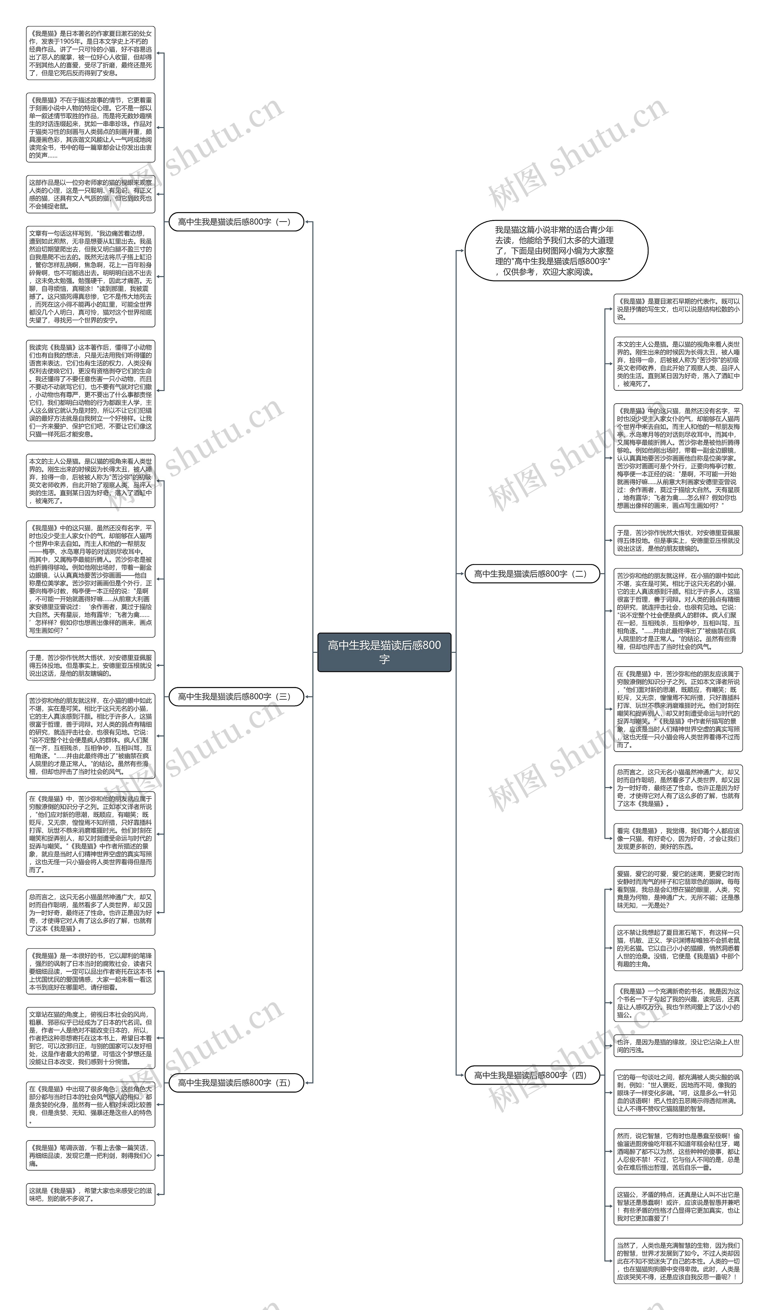 高中生我是猫读后感800字思维导图