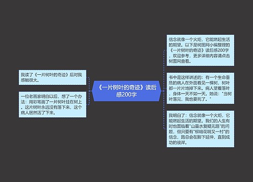 《一片树叶的奇迹》读后感200字