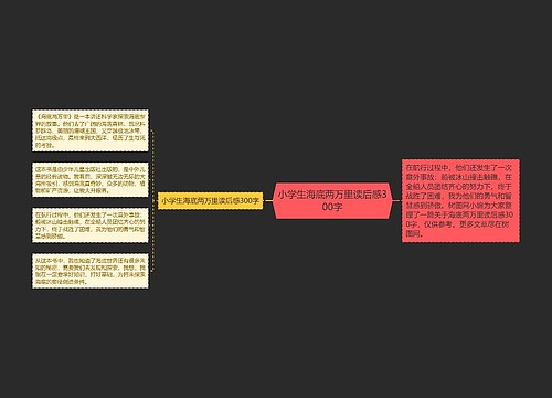 小学生海底两万里读后感300字