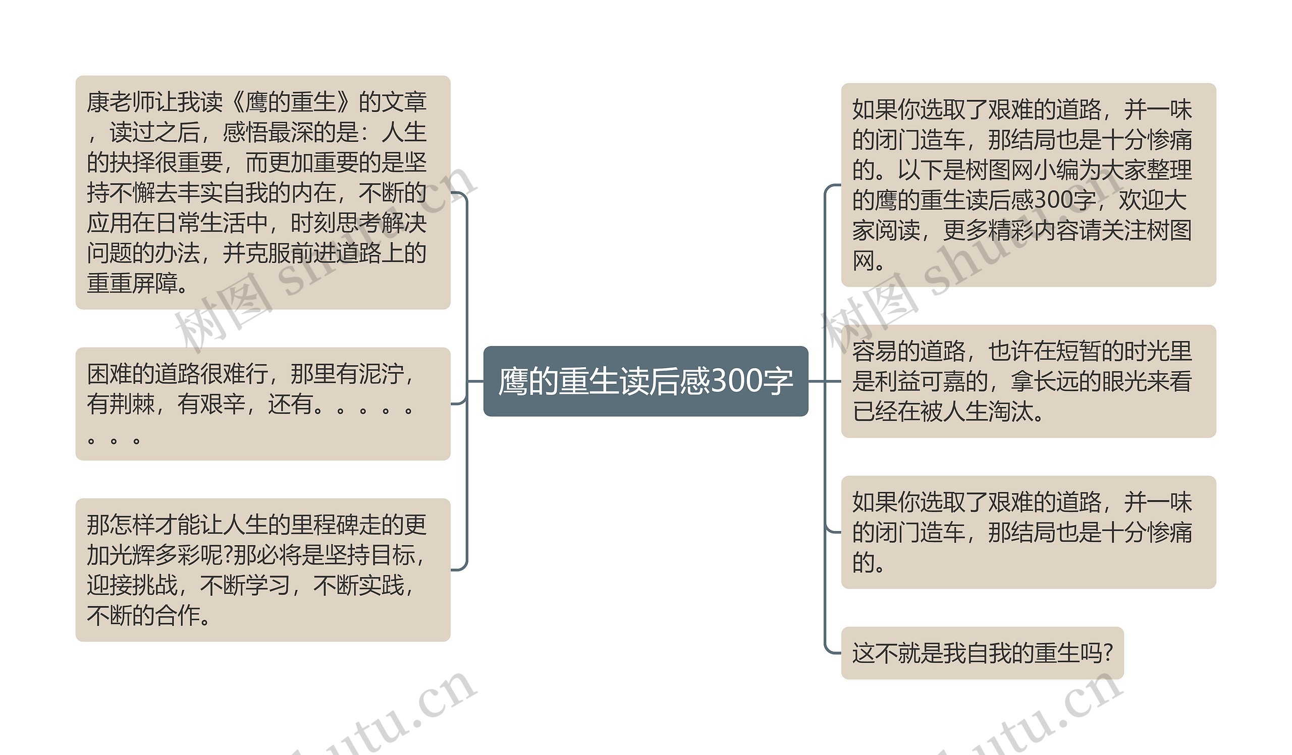 鹰的重生读后感300字