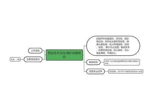 西安技术支持/维护应聘简历