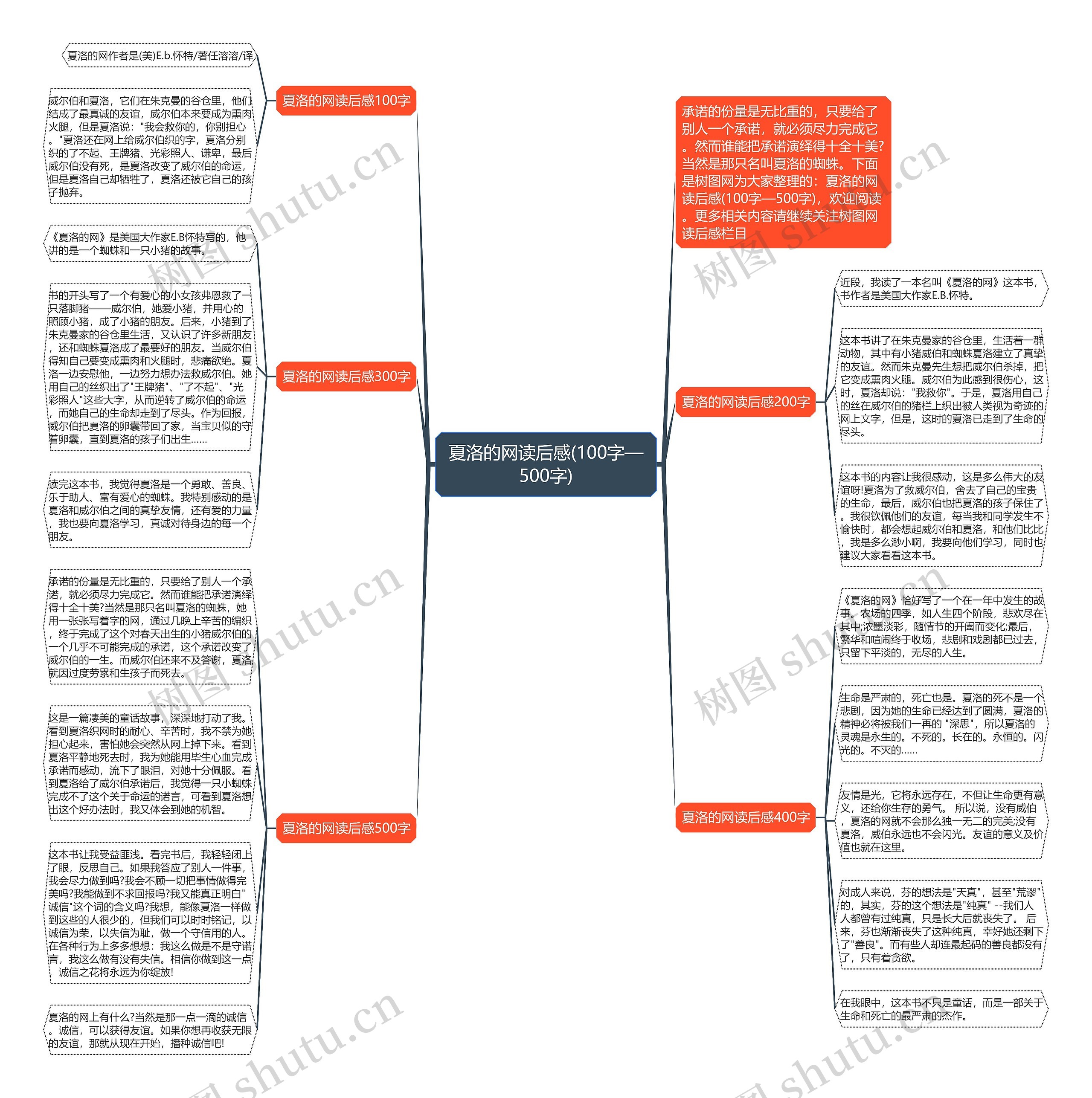 夏洛的网读后感(100字—500字)思维导图