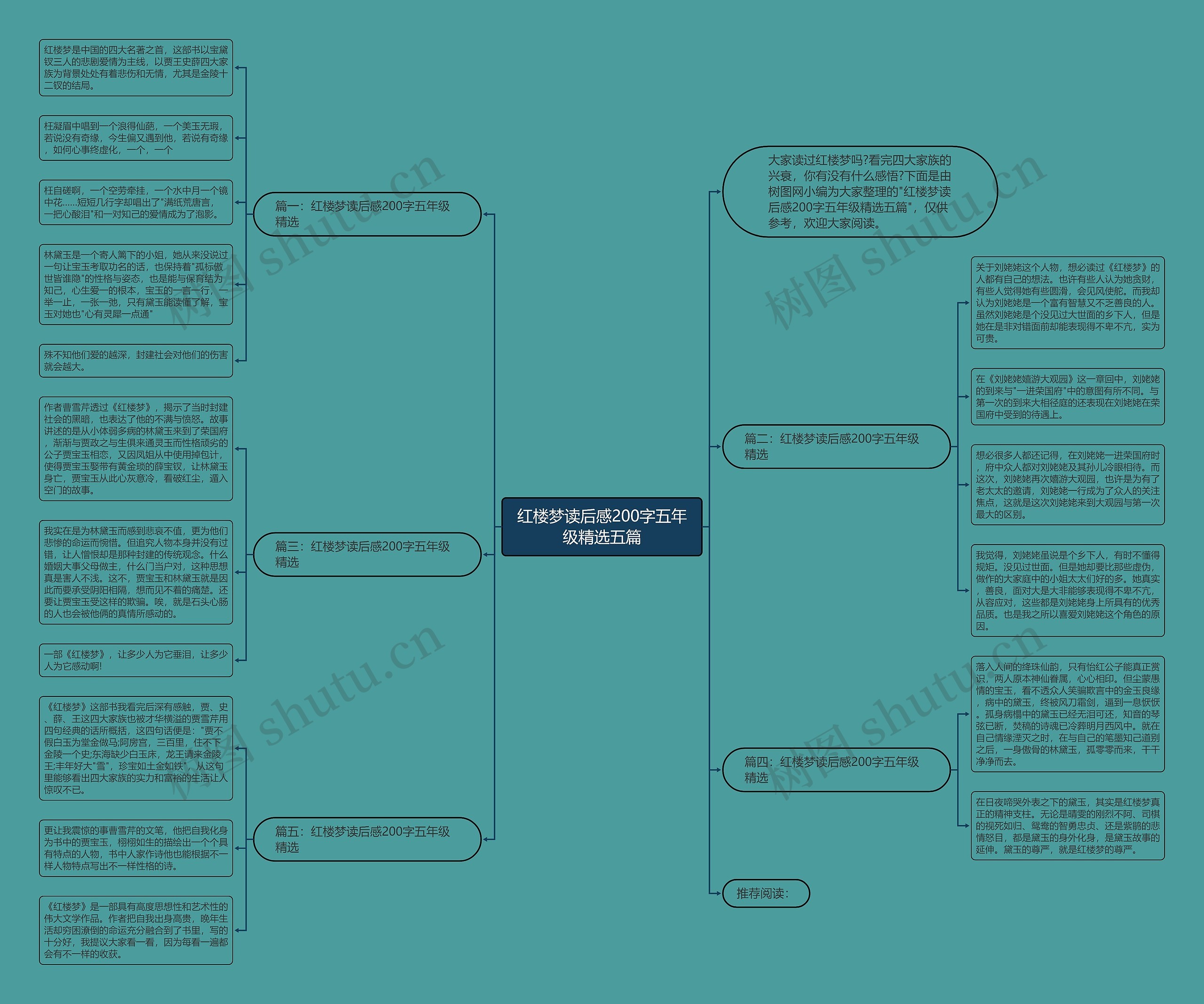 红楼梦读后感200字五年级精选五篇思维导图