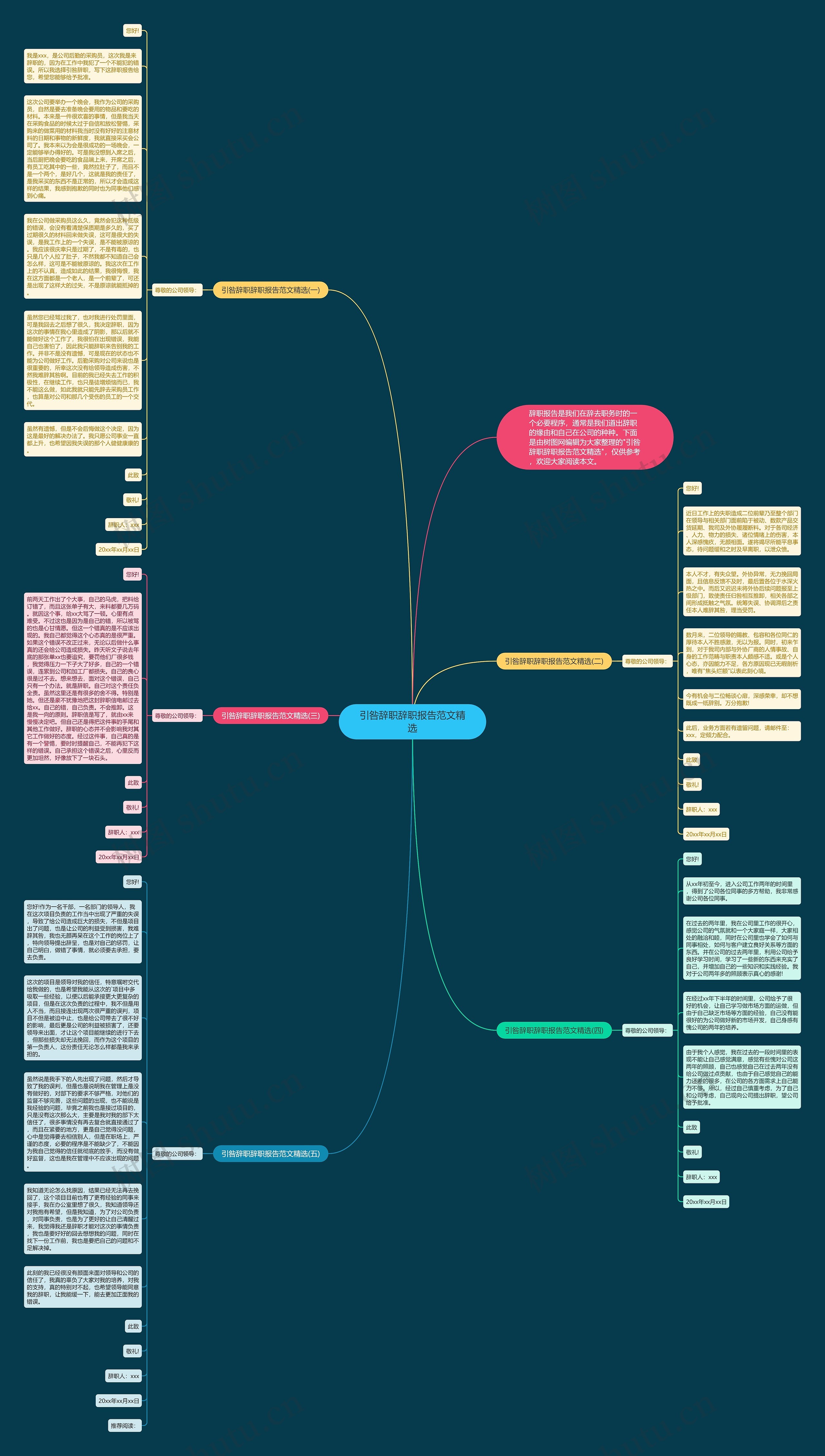 引咎辞职辞职报告范文精选思维导图