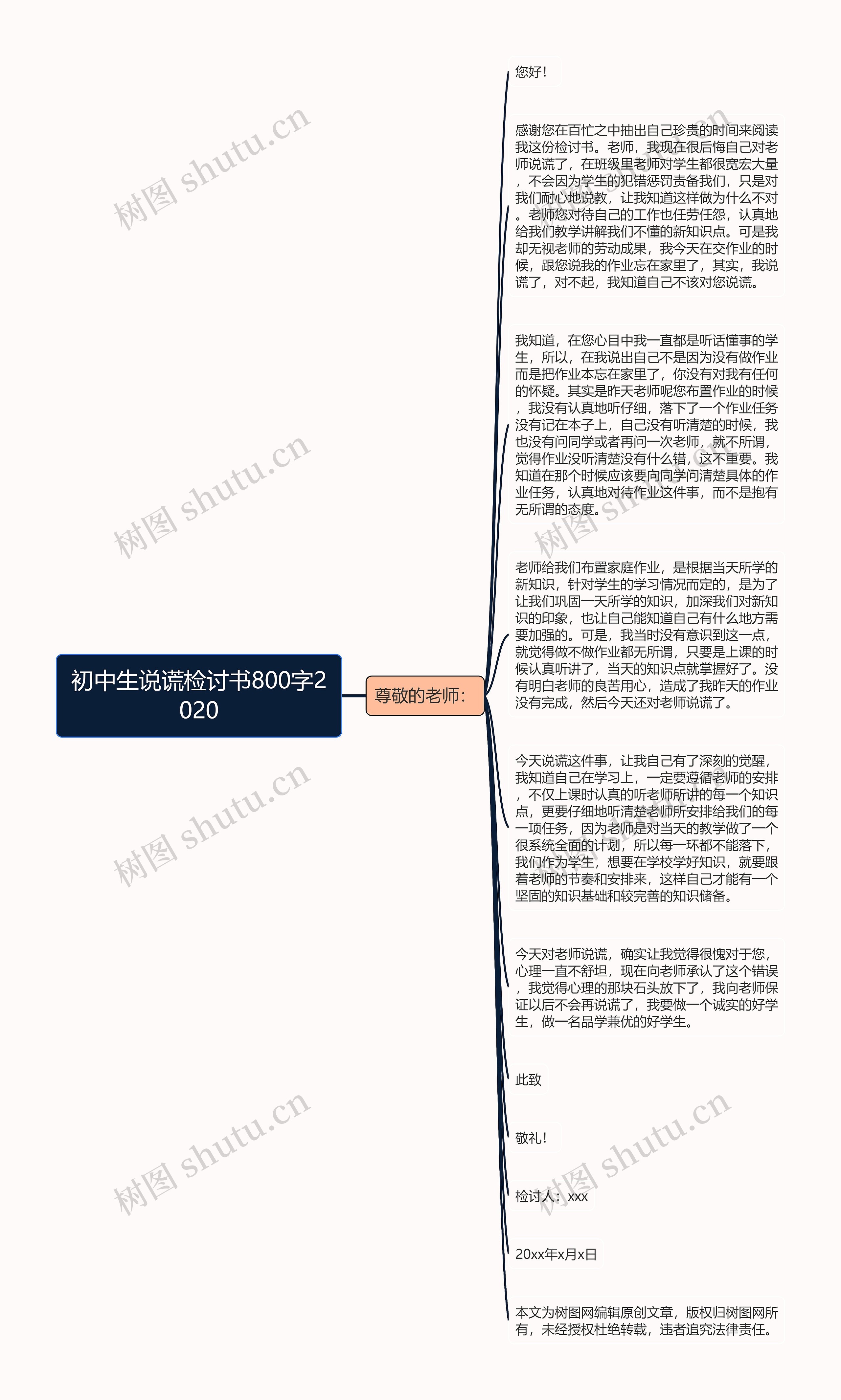 初中生说谎检讨书800字2020