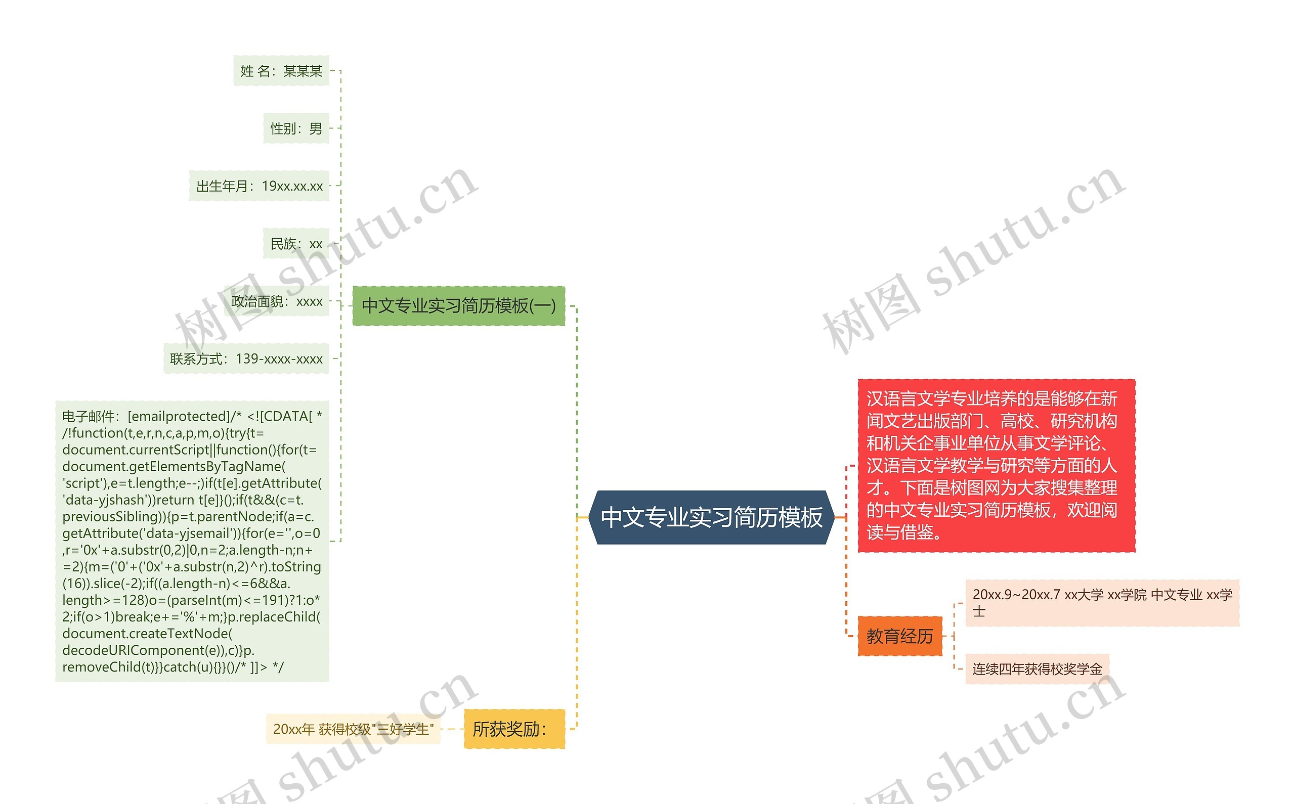 中文专业实习简历模板