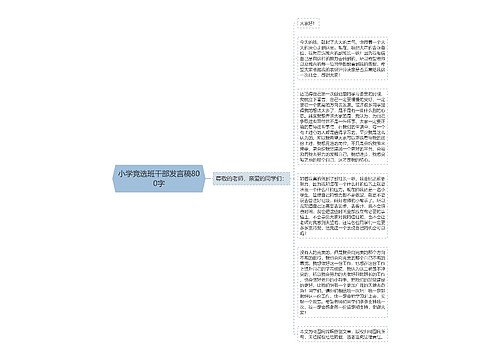 小学竞选班干部发言稿800字