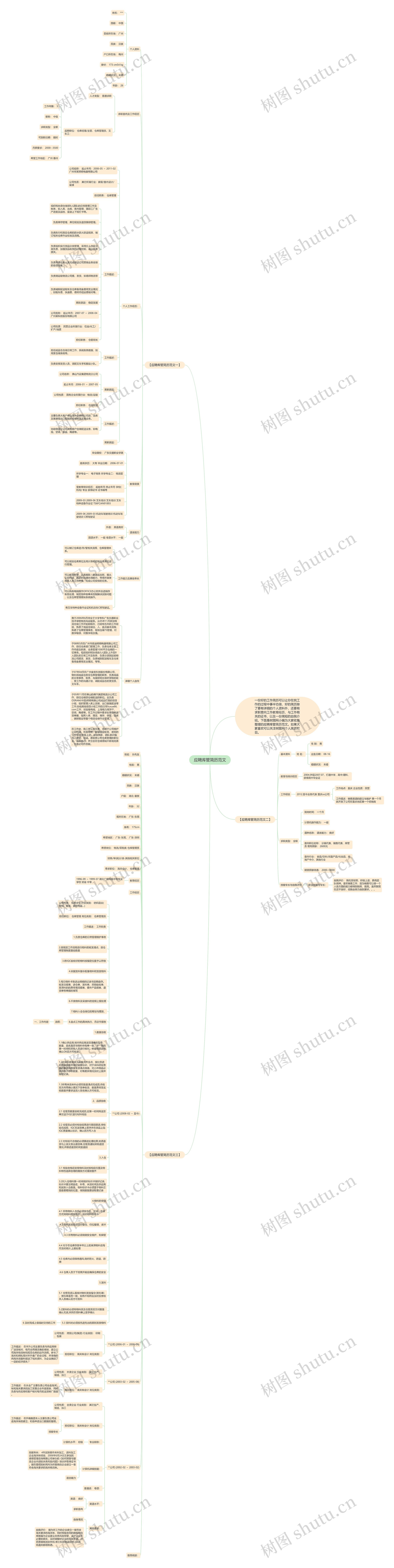 应聘库管简历范文思维导图