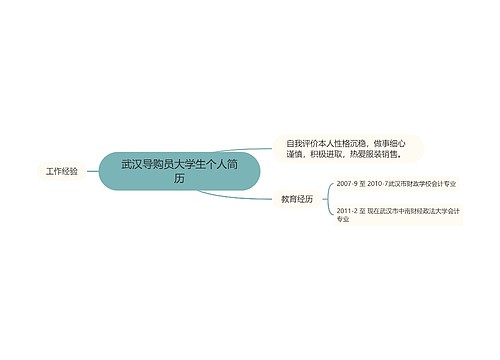 武汉导购员大学生个人简历