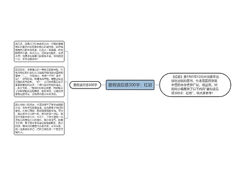 暑假读后感300字：红岩