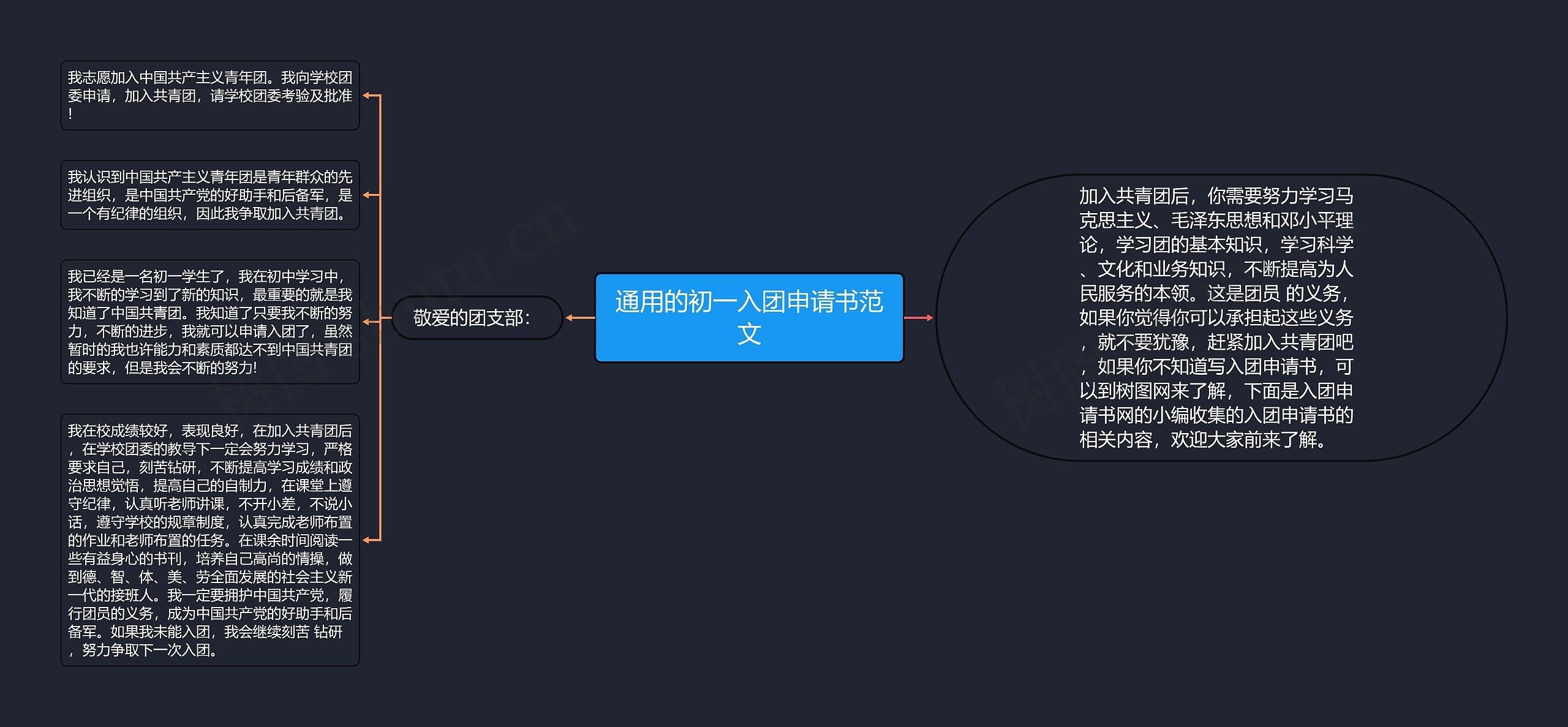 通用的初一入团申请书范文