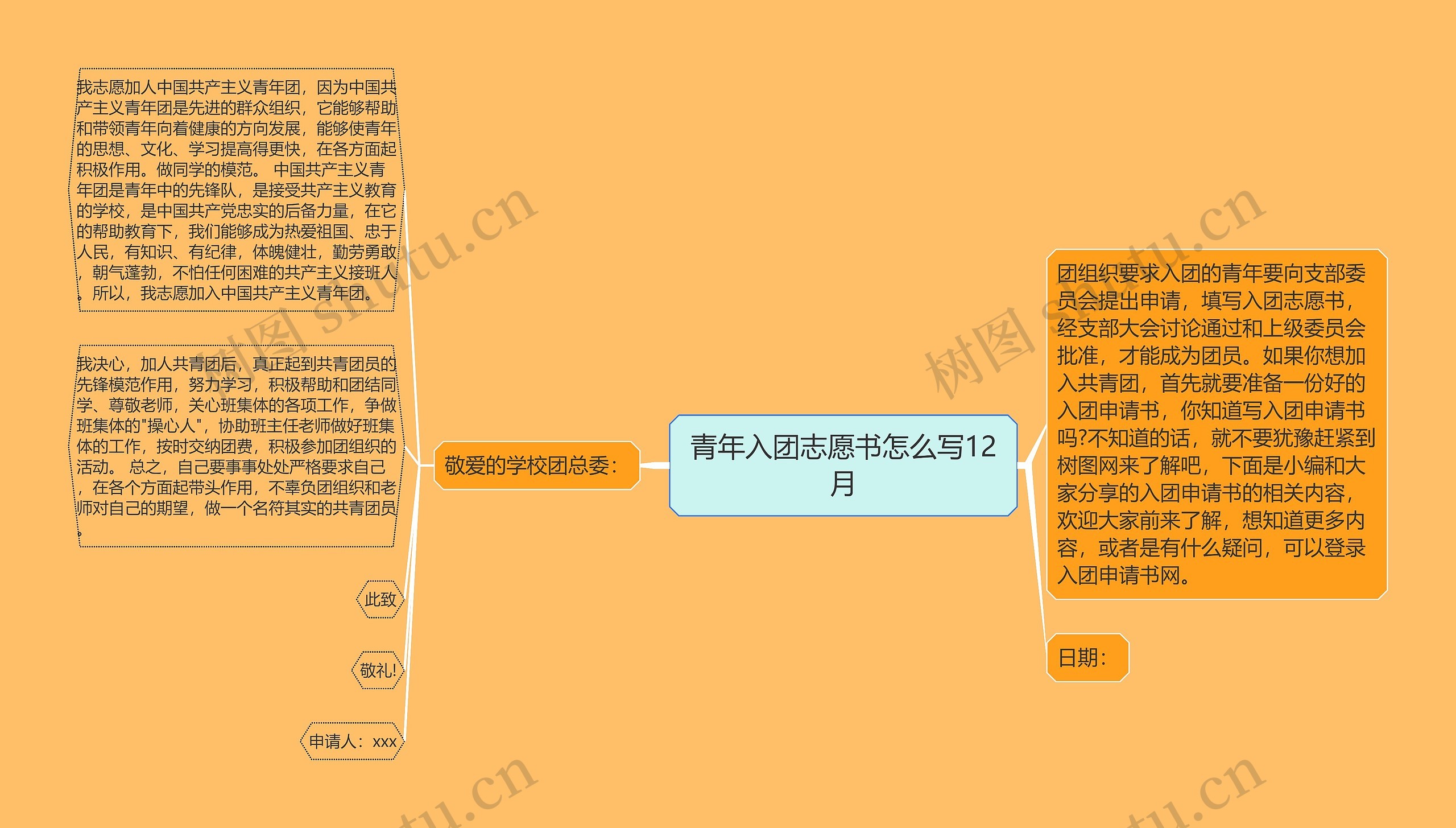 青年入团志愿书怎么写12月思维导图