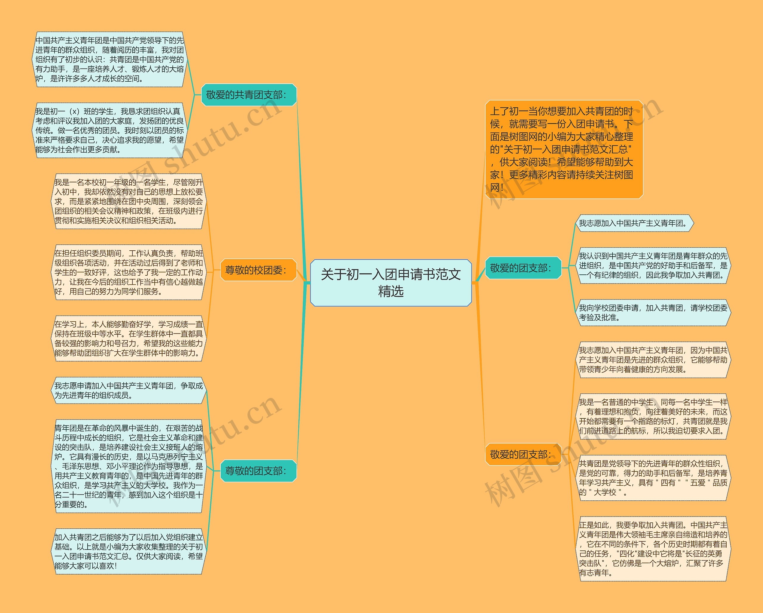 关于初一入团申请书范文精选思维导图