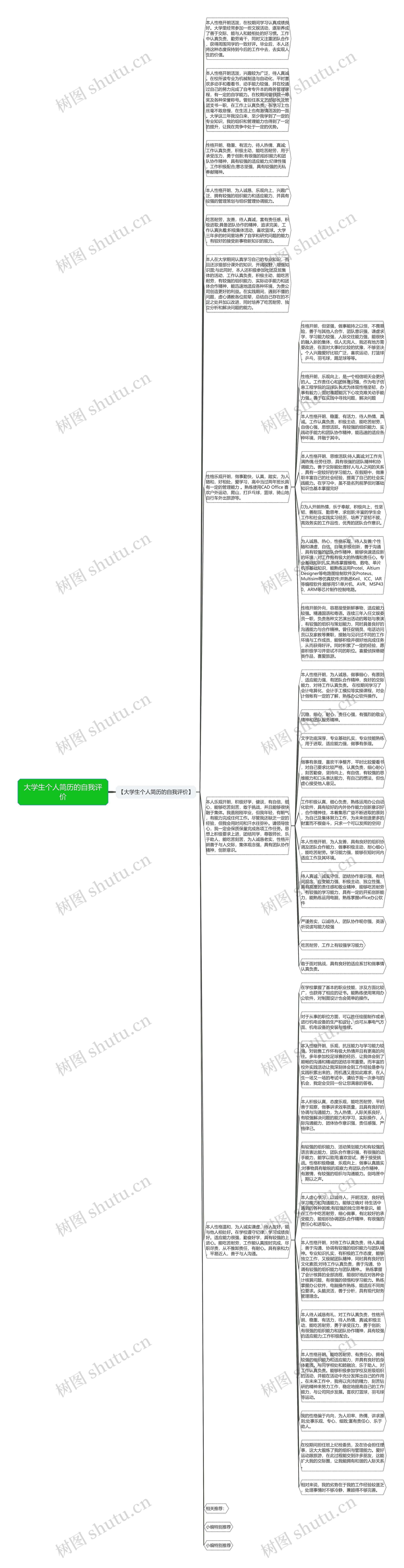 大学生个人简历的自我评价思维导图