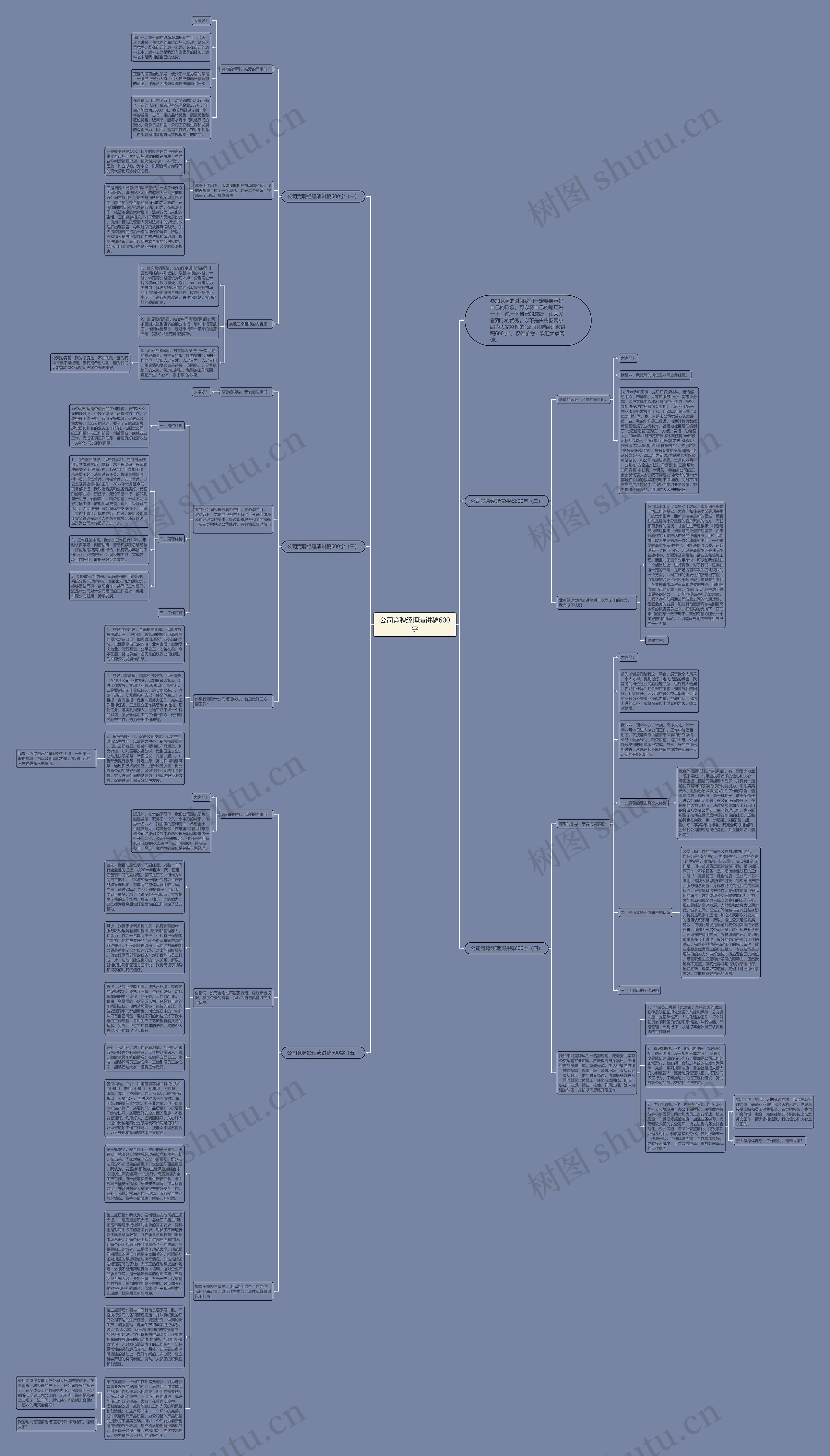 公司竞聘经理演讲稿600字思维导图