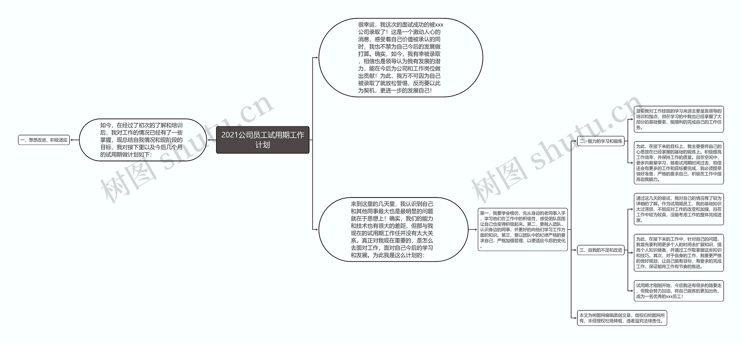 2021公司员工试用期工作计划