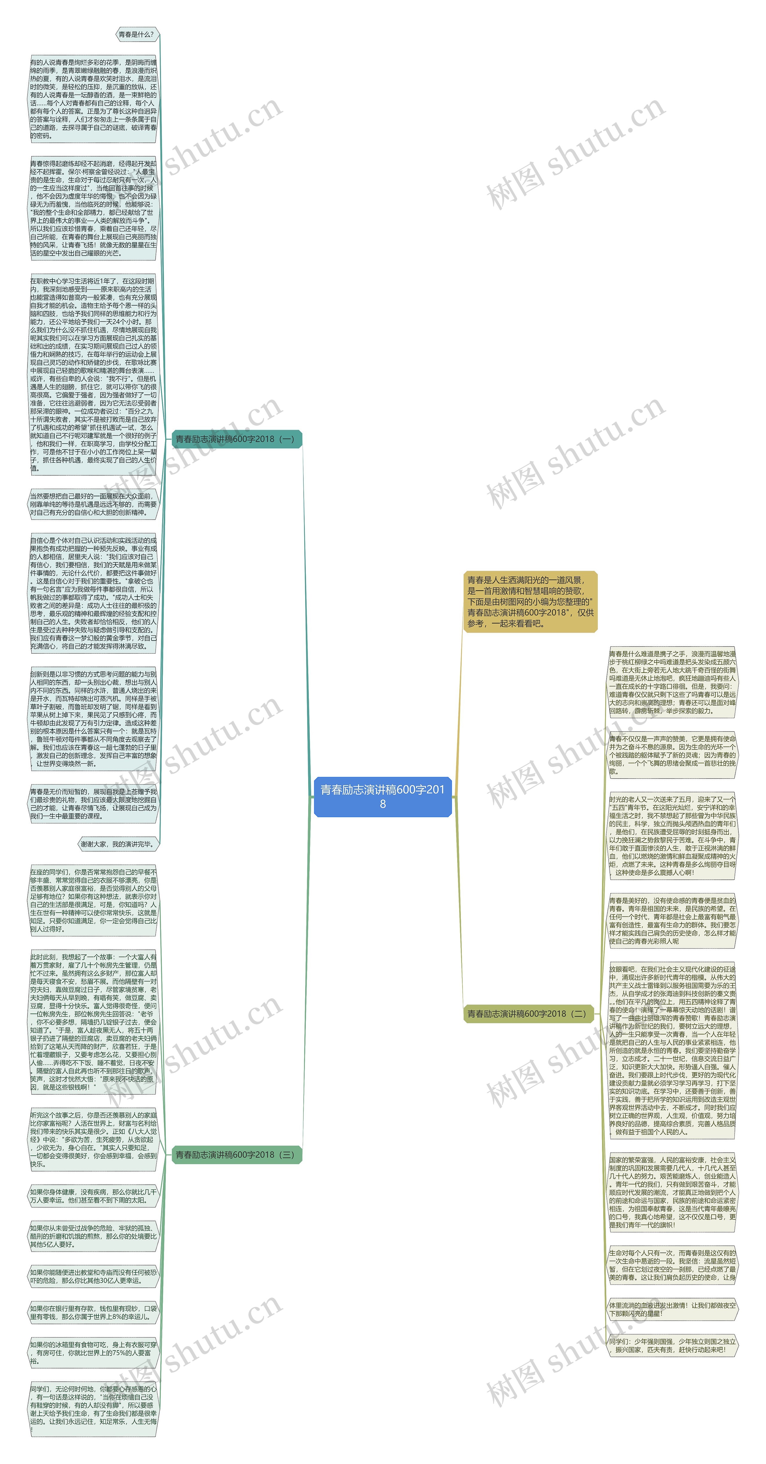 青春励志演讲稿600字2018思维导图