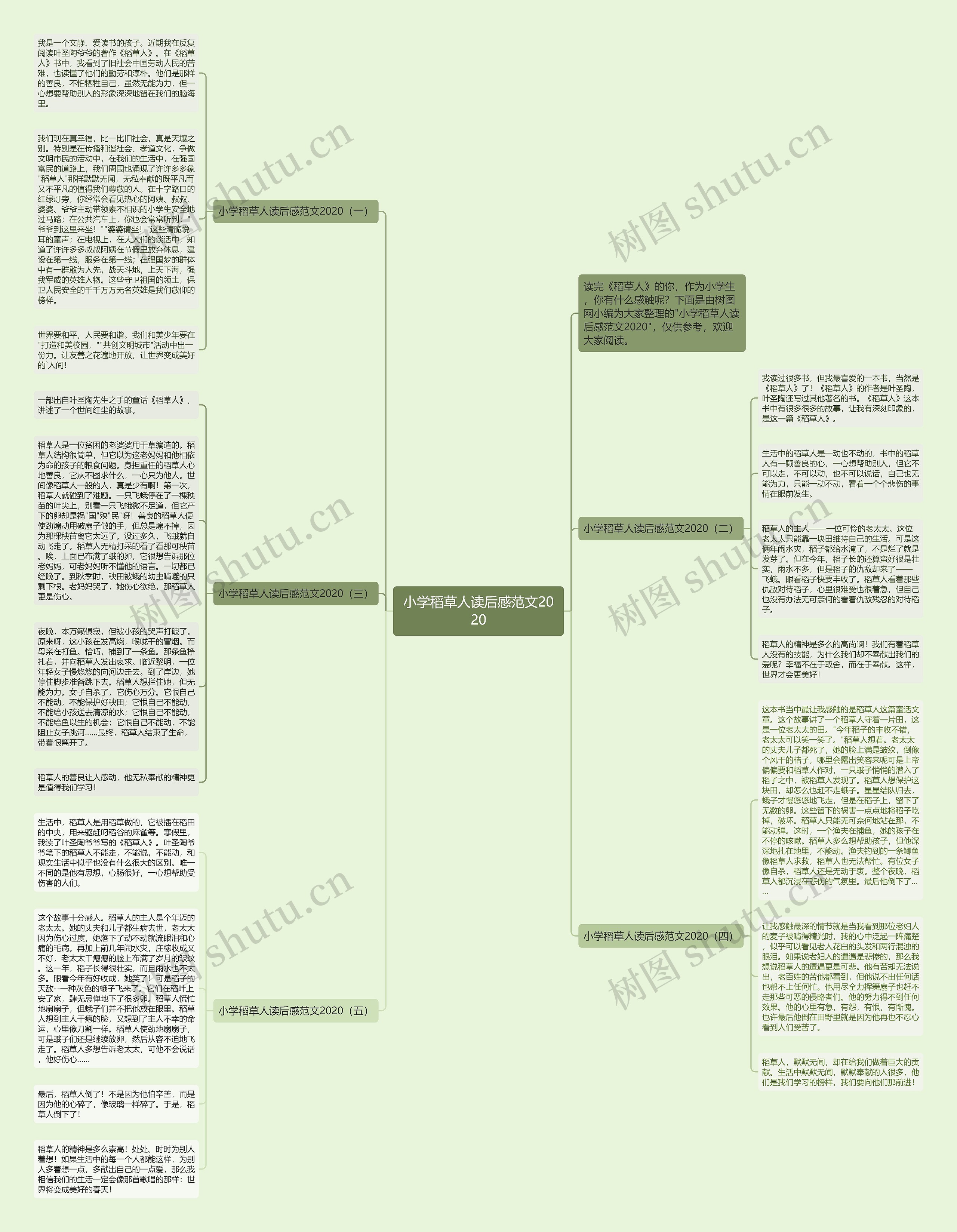 小学稻草人读后感范文2020思维导图
